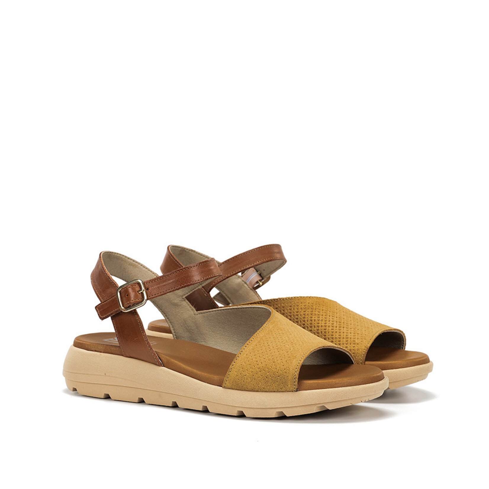 Dorking Dorking Gandia D9464