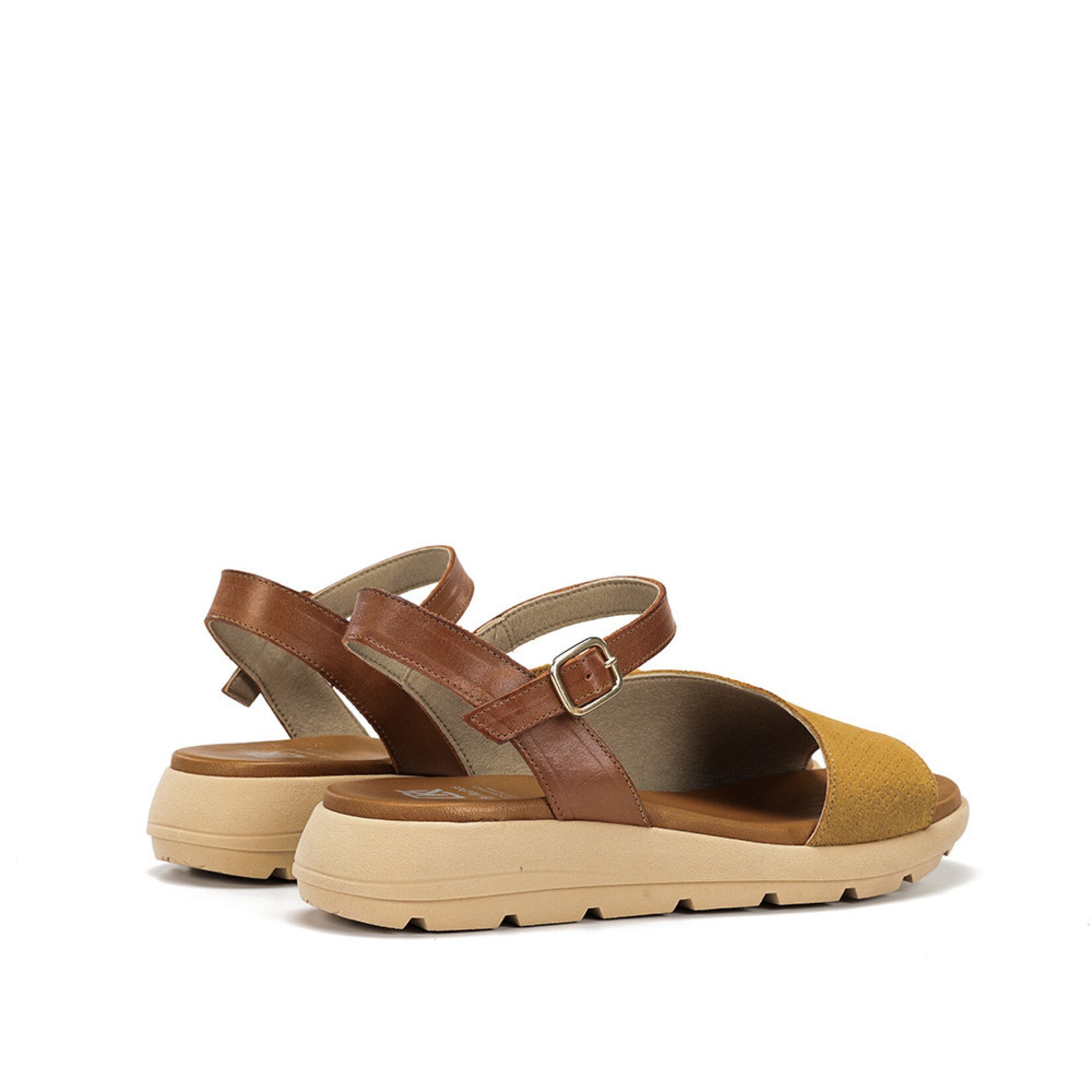 Dorking Dorking Gandia D9464