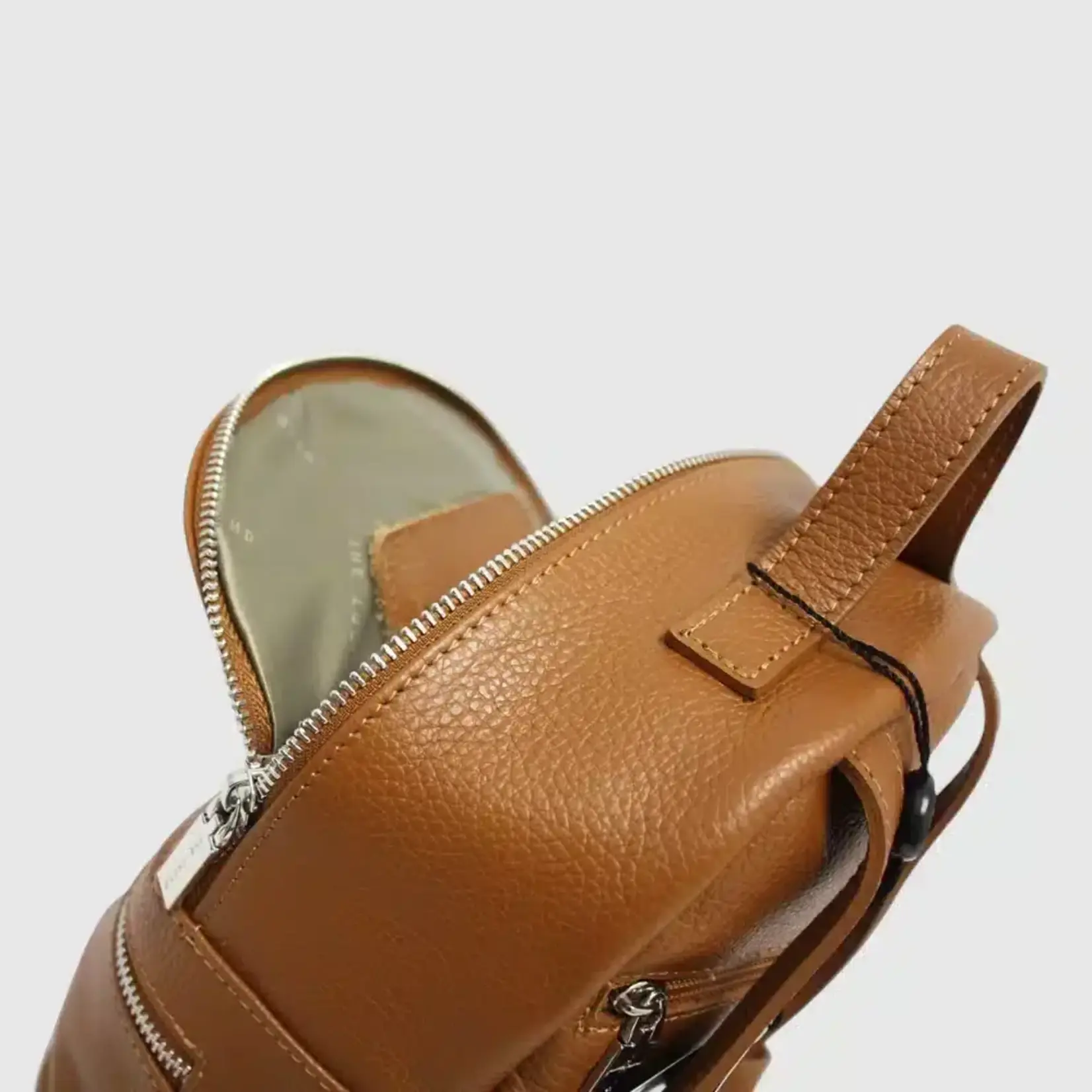 The Trend the Trend 130677