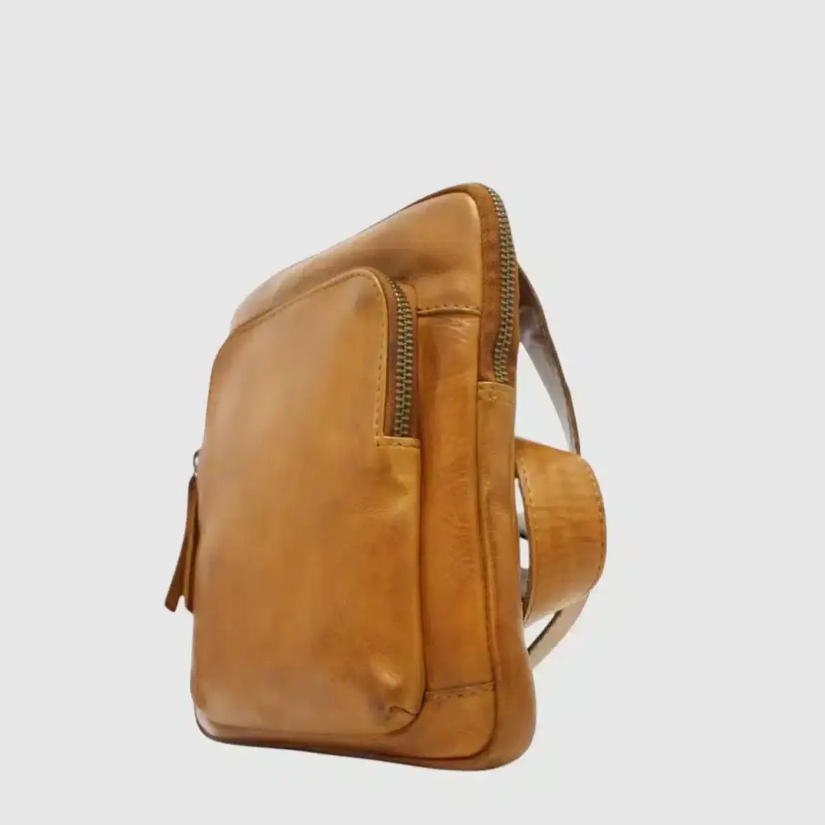 The Trend the Trend 22420