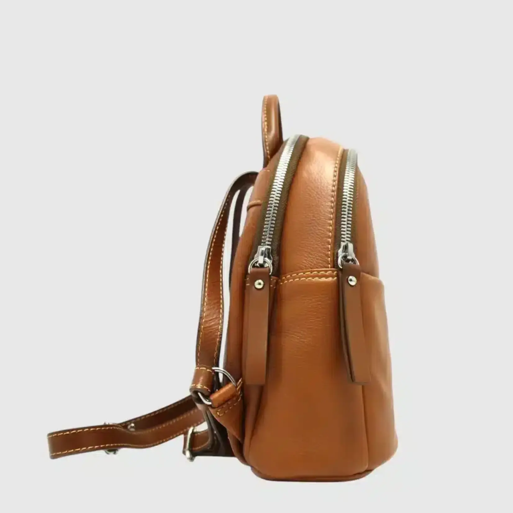 The Trend the Trend 584534