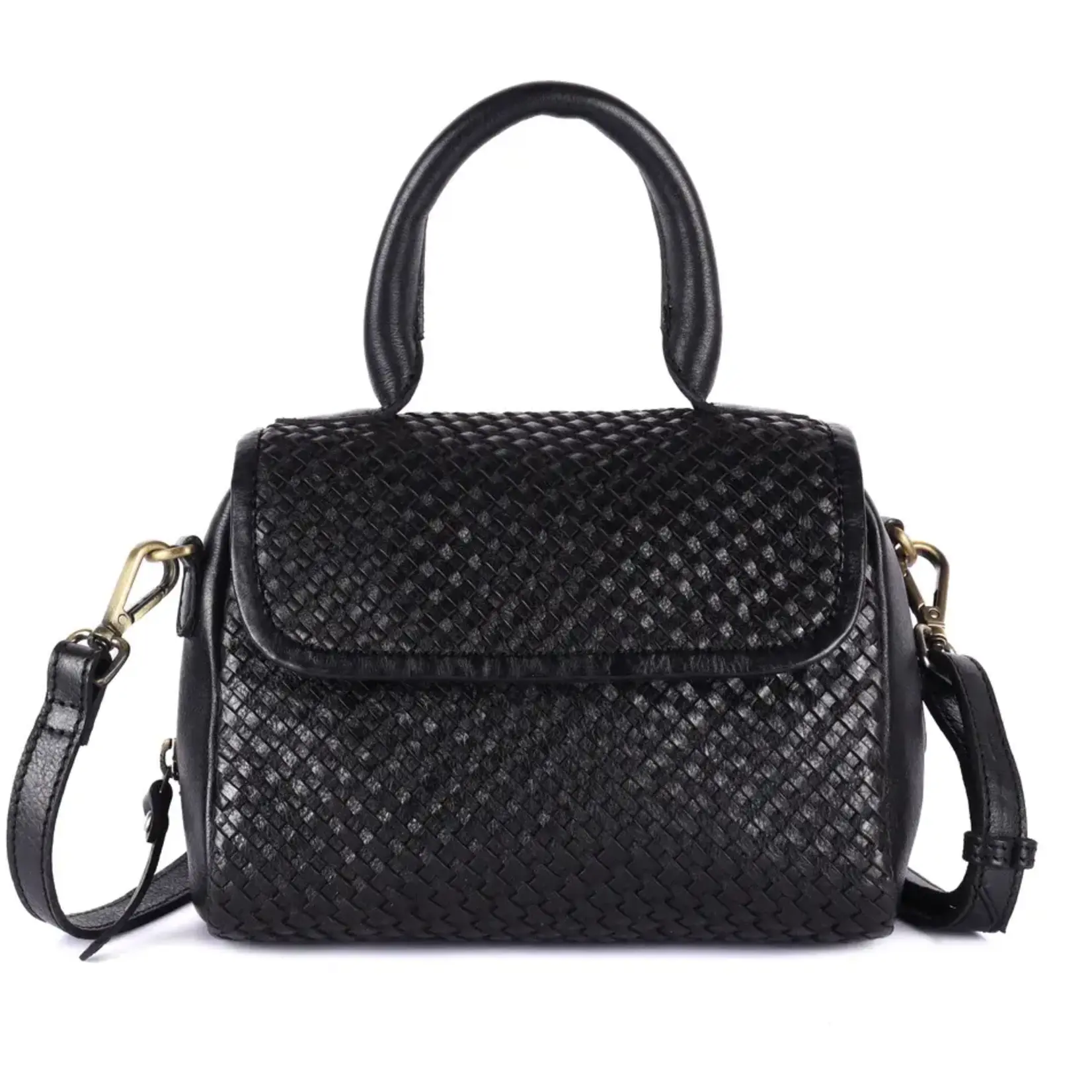 Milo Milo 036 Ginevra