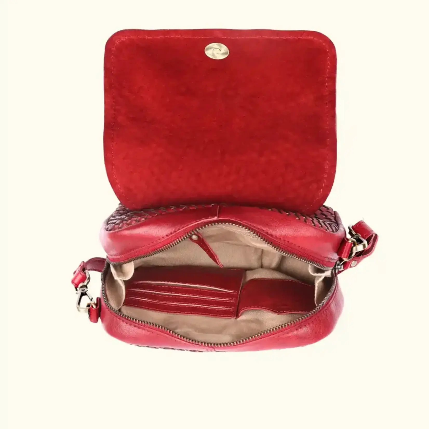 Milo Milo 036 Ginevra