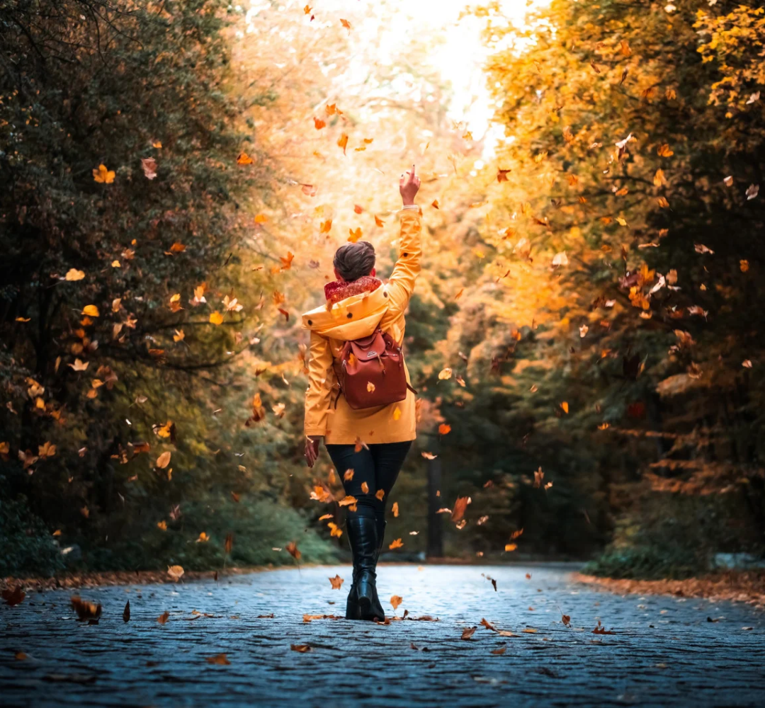 fall leaves