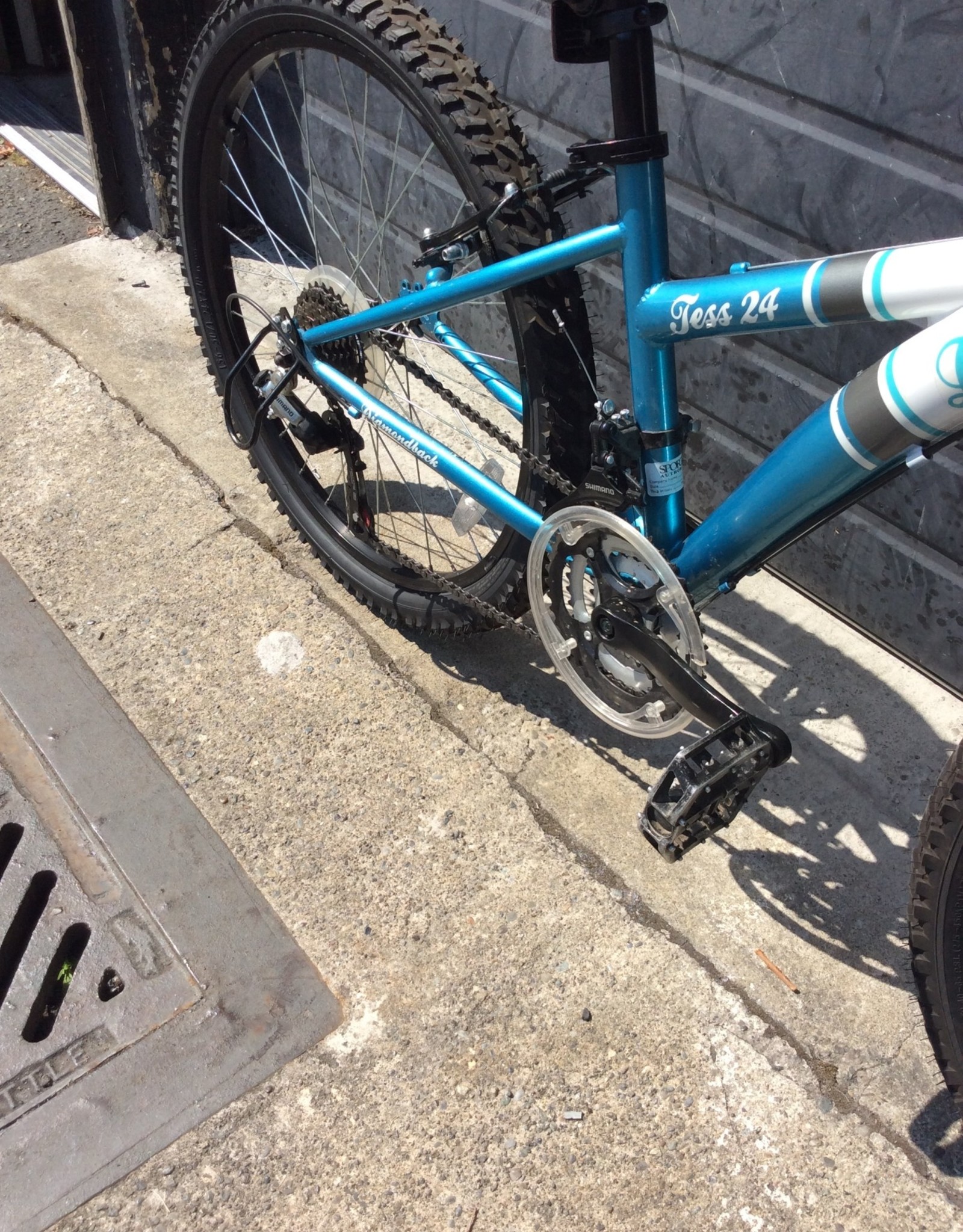 diamondback tess 24 review