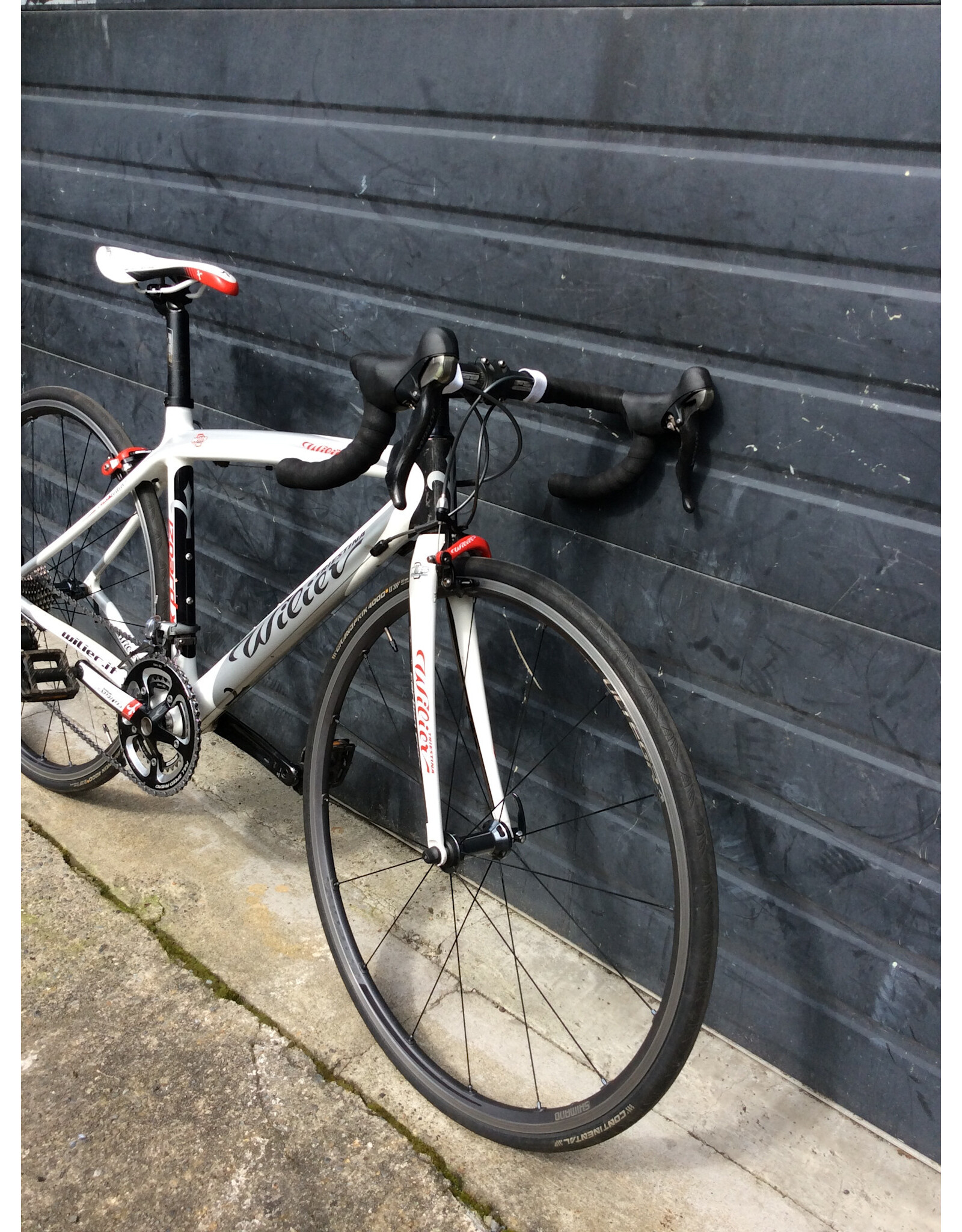 Wilier 50cm Wilier Triestina