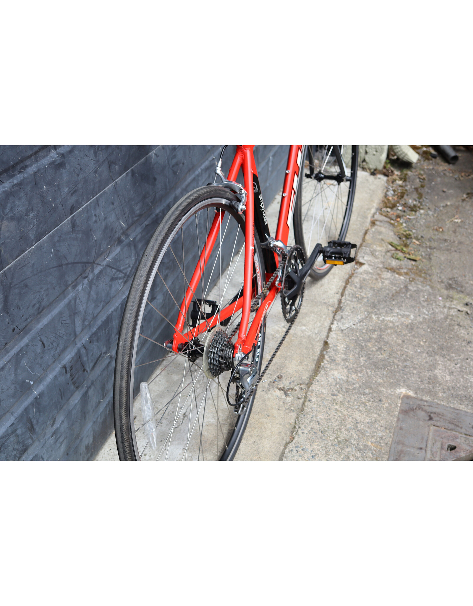 Fuji 46cm Fuji Newest 1.0