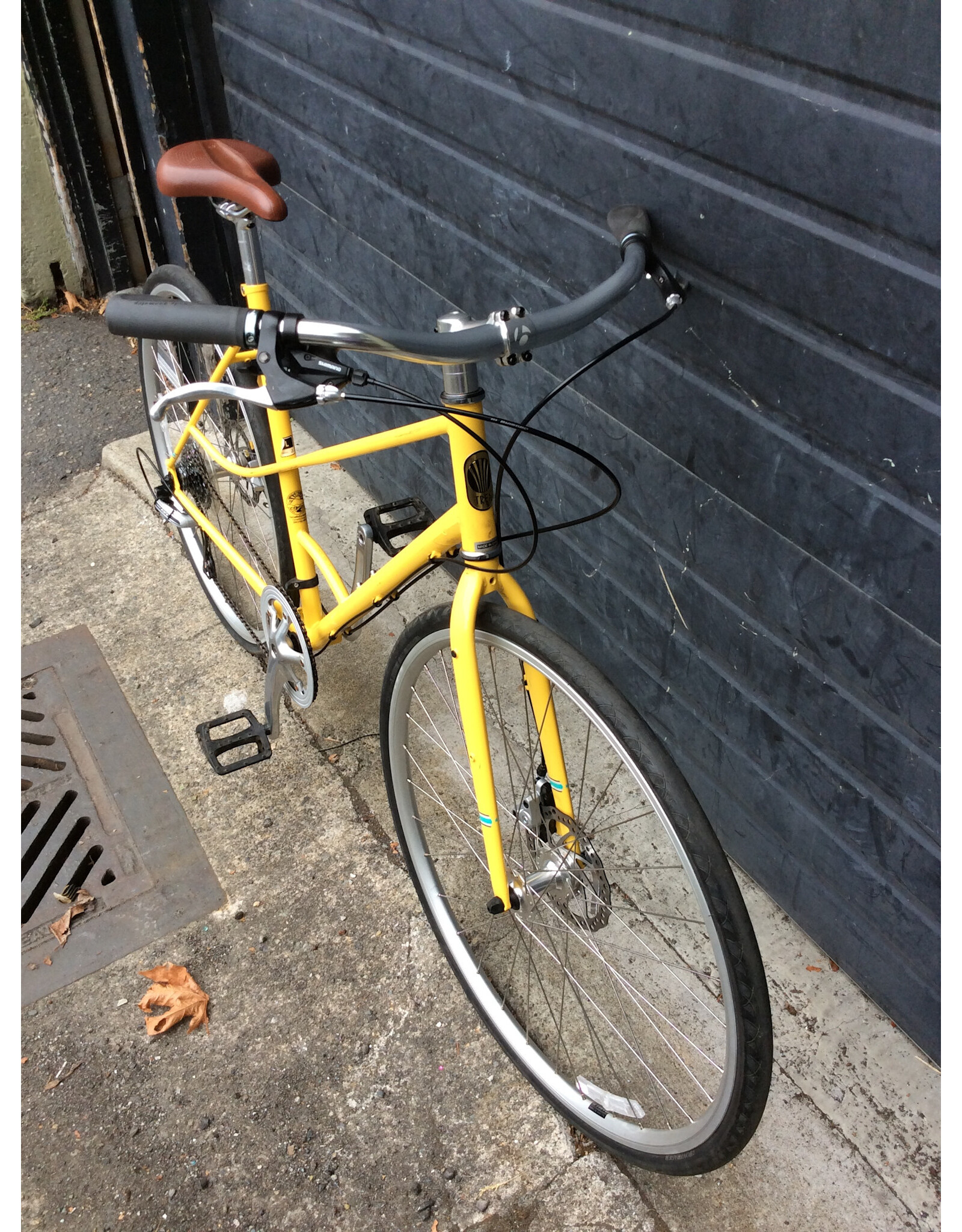 Trek Large Trek Chelsea District Mixte