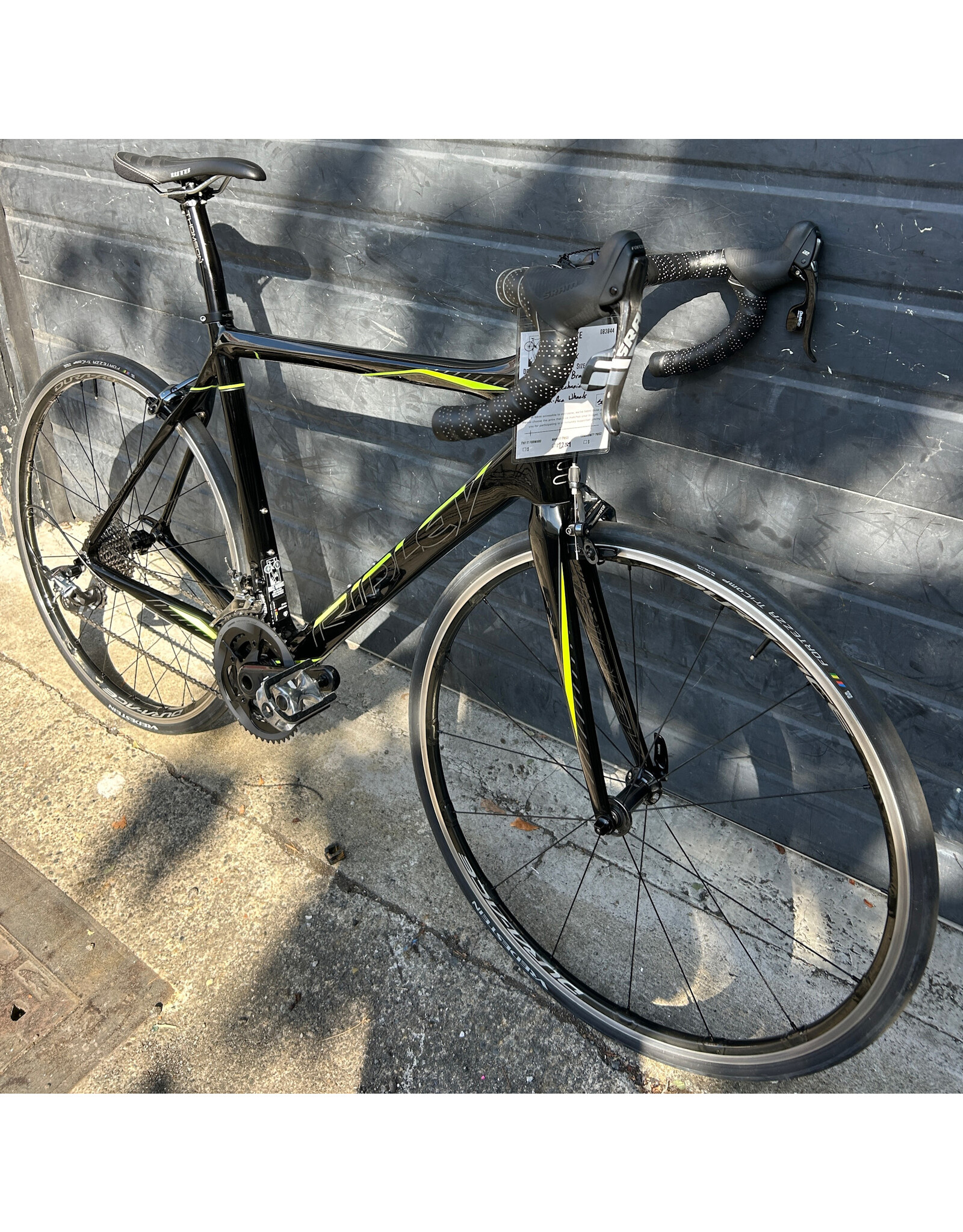 Ridley Medium Ridley Fenix