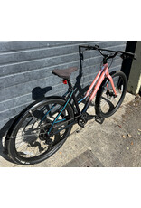 Cannondale Large Cannondale Treadwell
