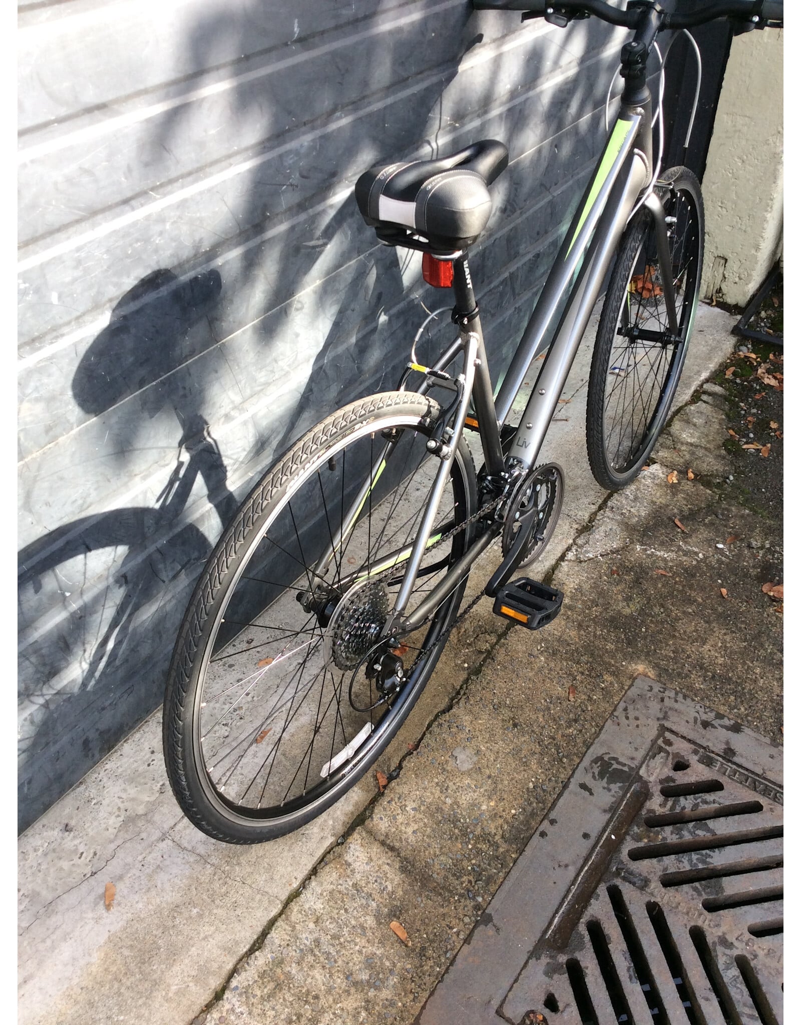 Giant 18" Giant LIV Escape