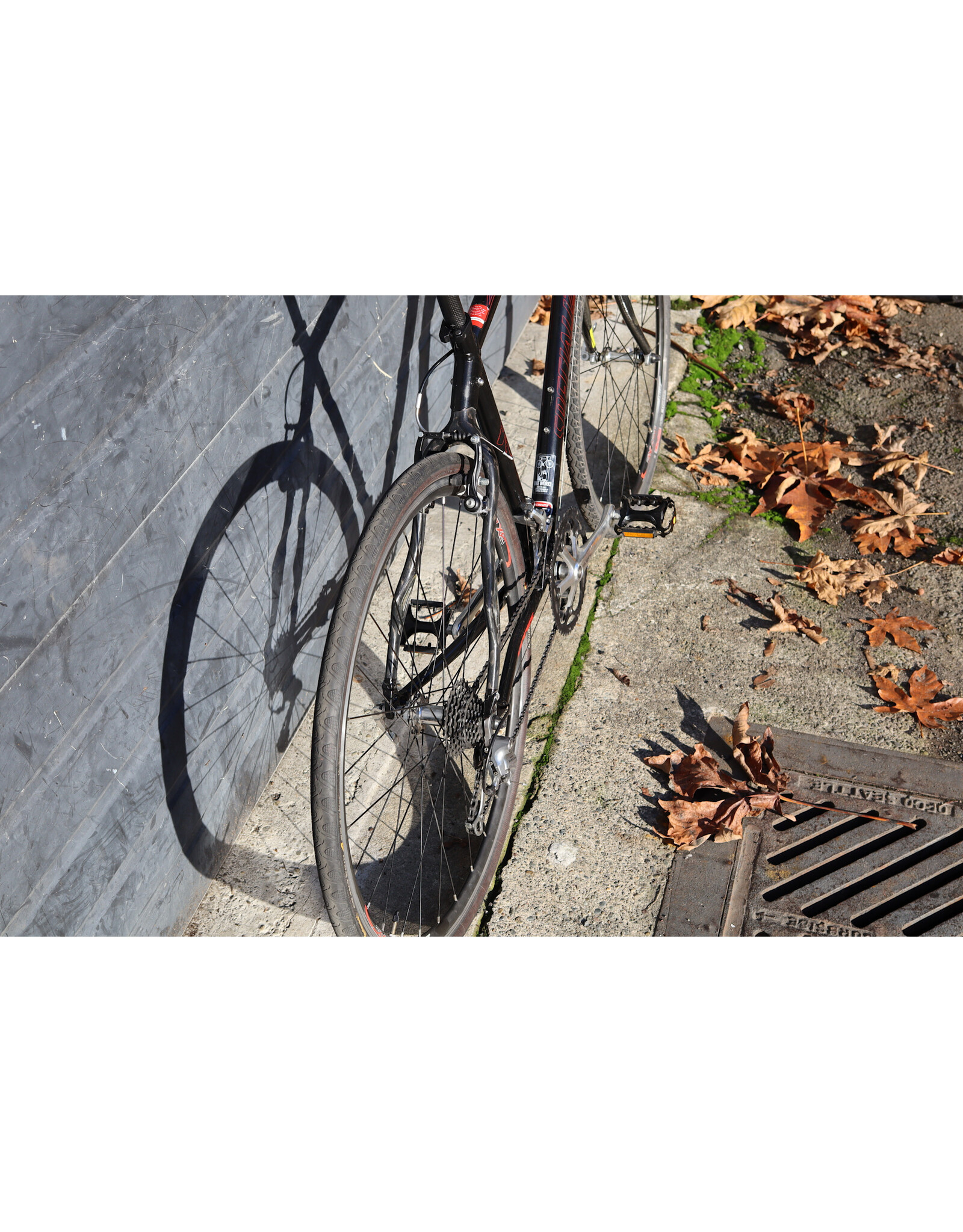 Specialized Large Specialized Sirrus