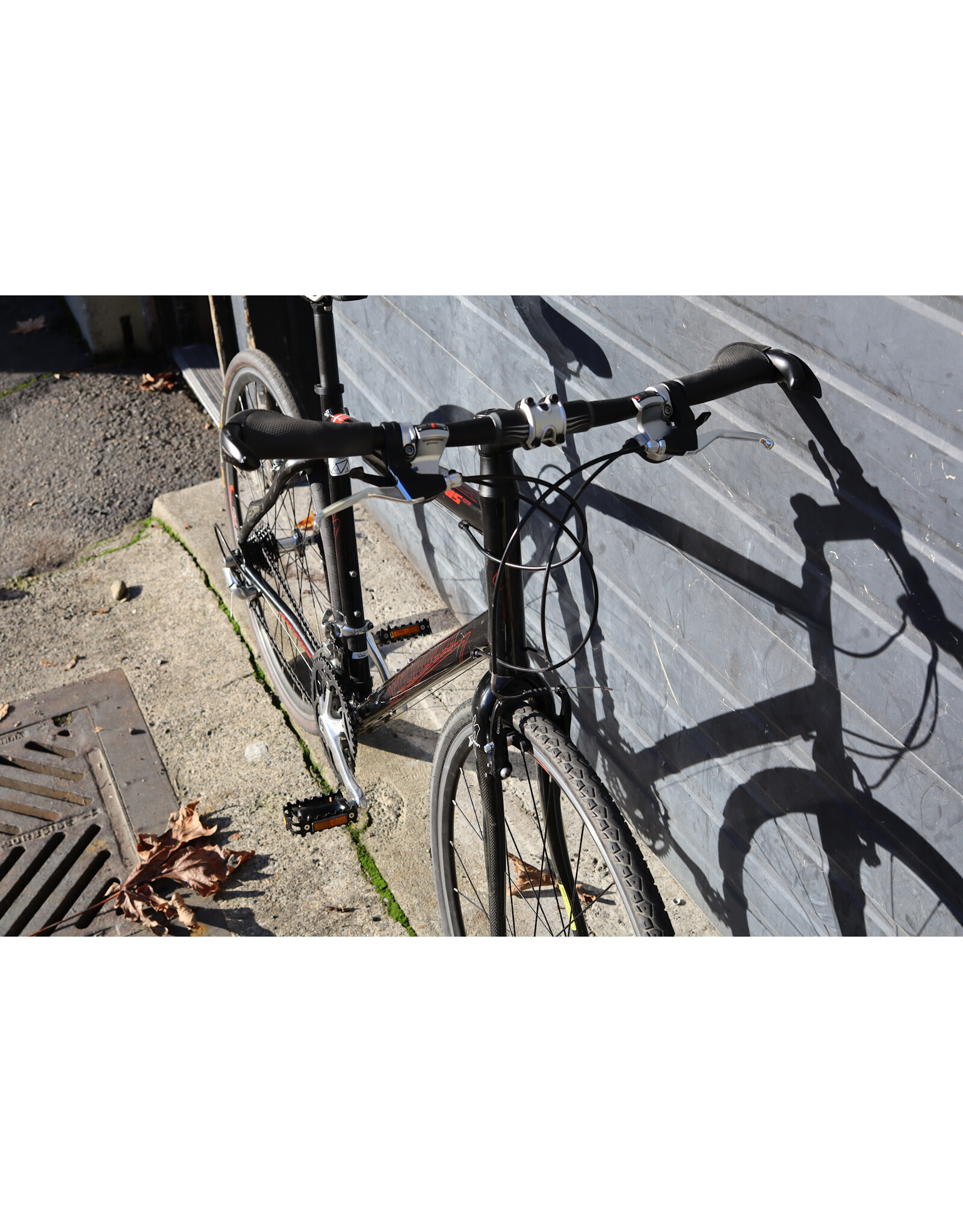 Specialized Large Specialized Sirrus