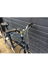 Giant XL Giant Cypress