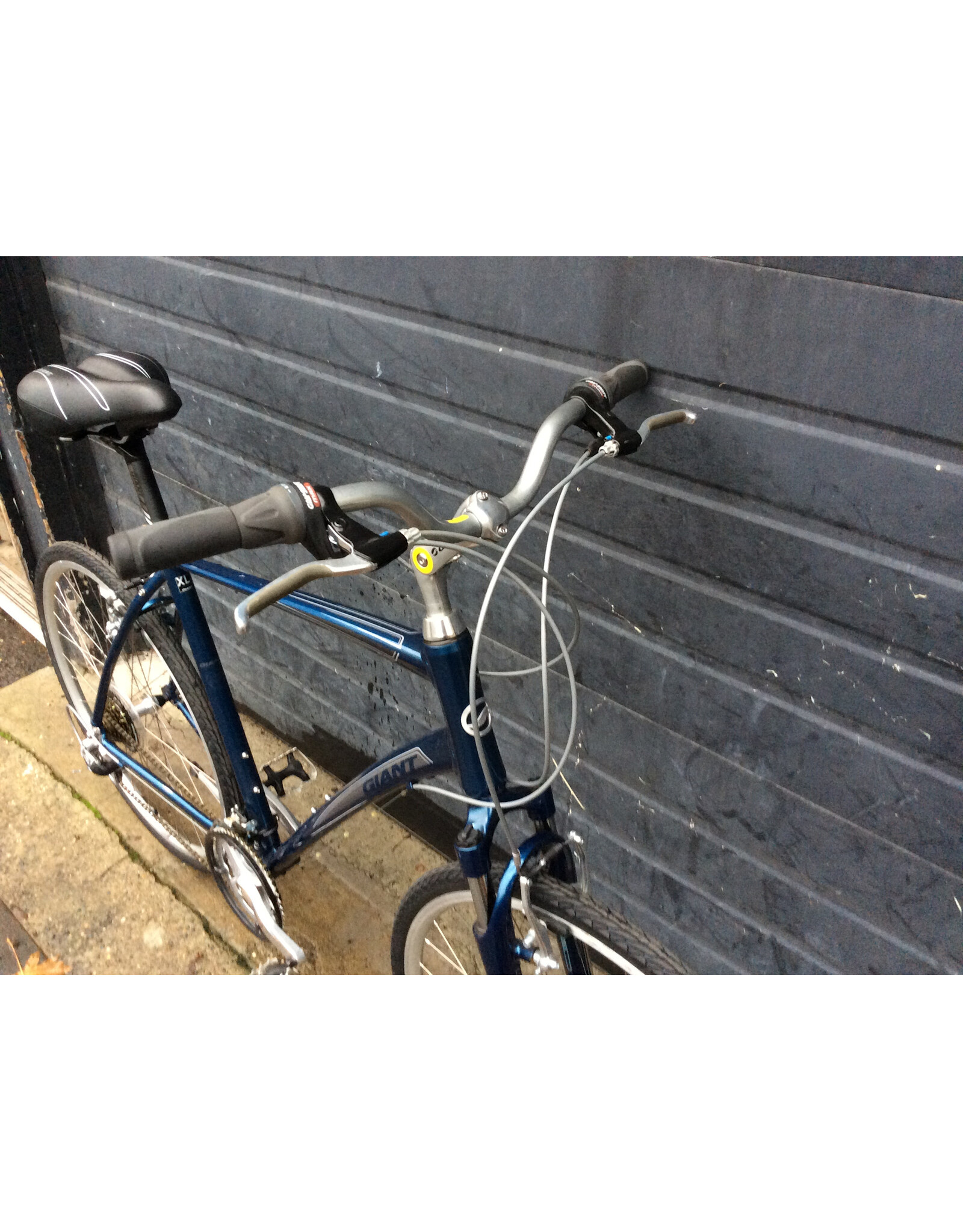 Giant XL Giant Cypress