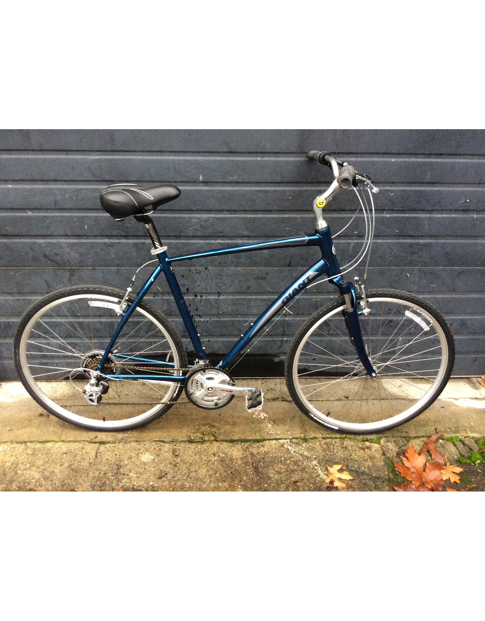 Giant XL Giant Cypress