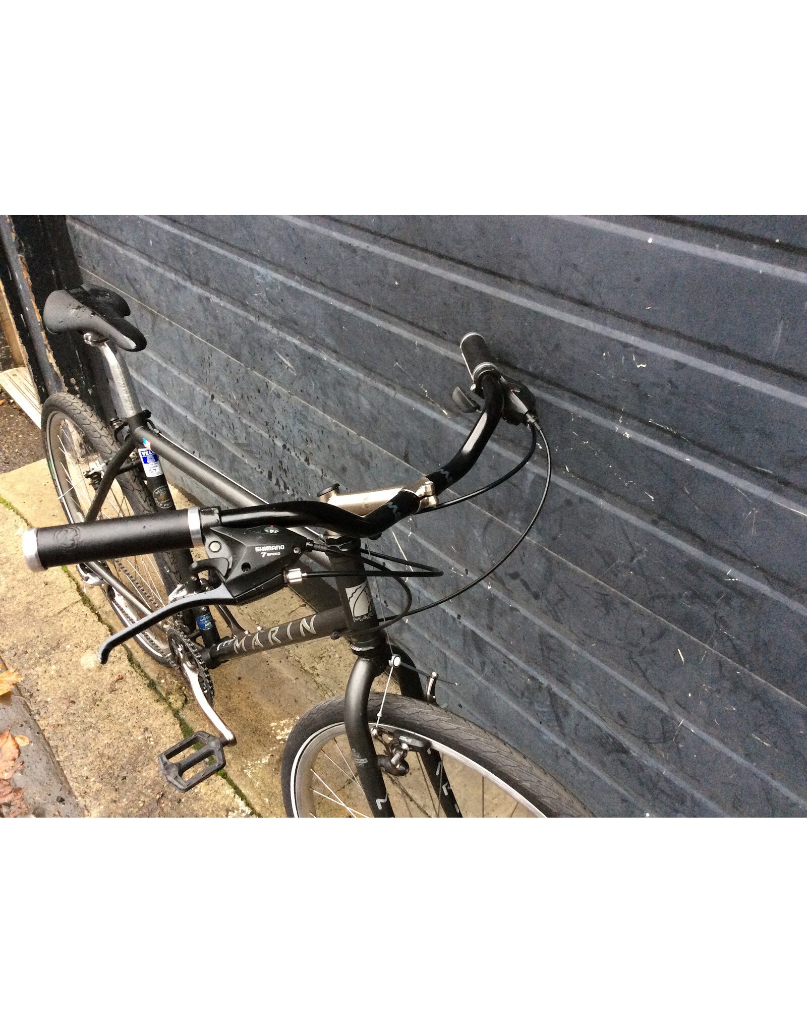 Marin 18" Marin Muir Wood