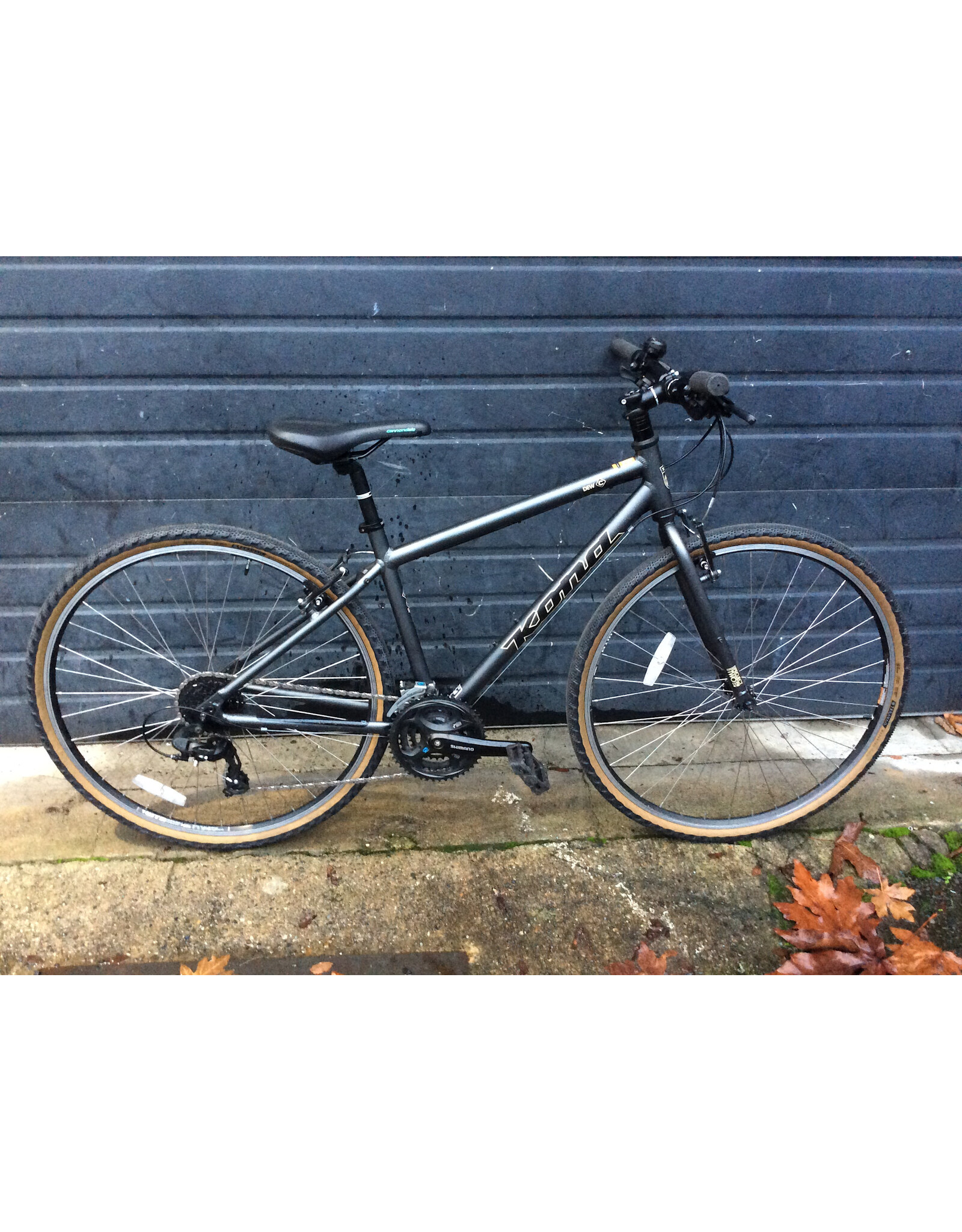 Kona 17.5" Kona Dew