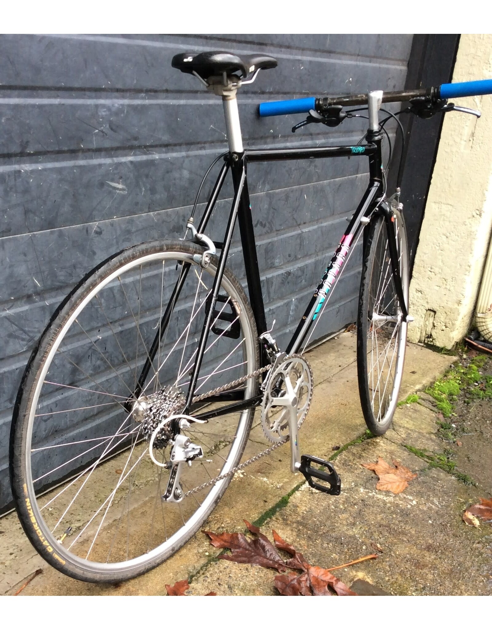 Novara 57cm Novara Trionfo