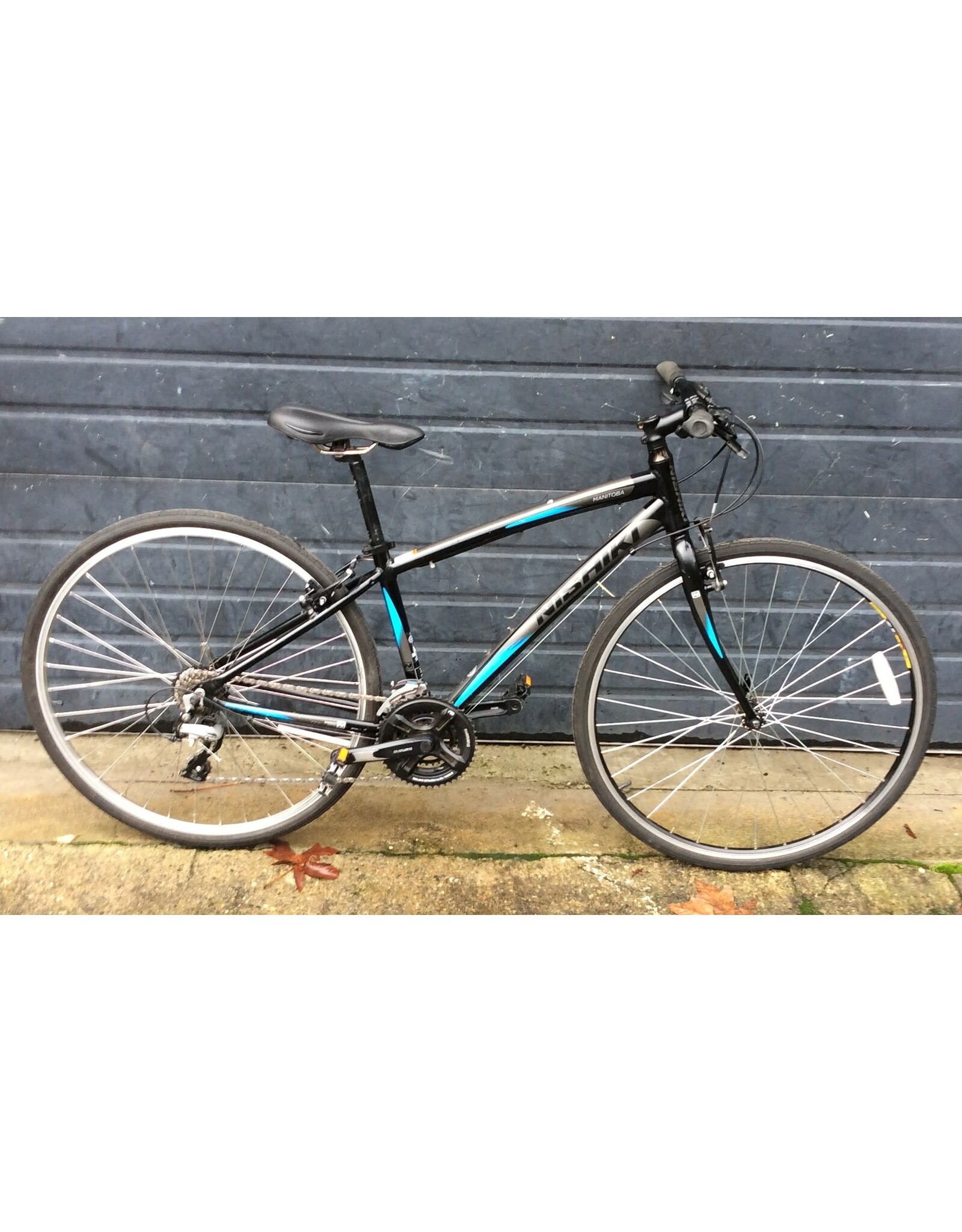 Nishiki 15" Nishiki Manitoba