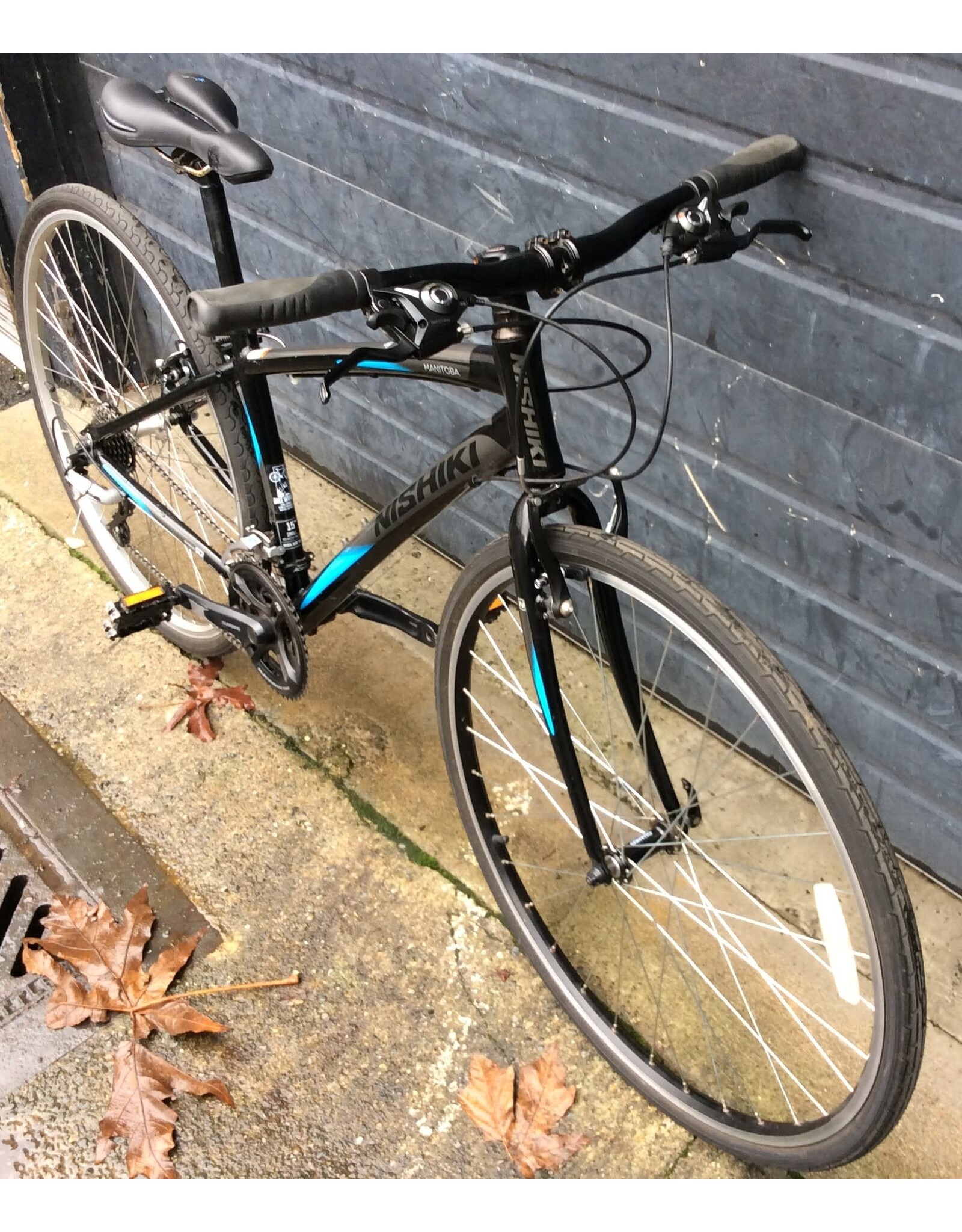 Nishiki 15" Nishiki Manitoba