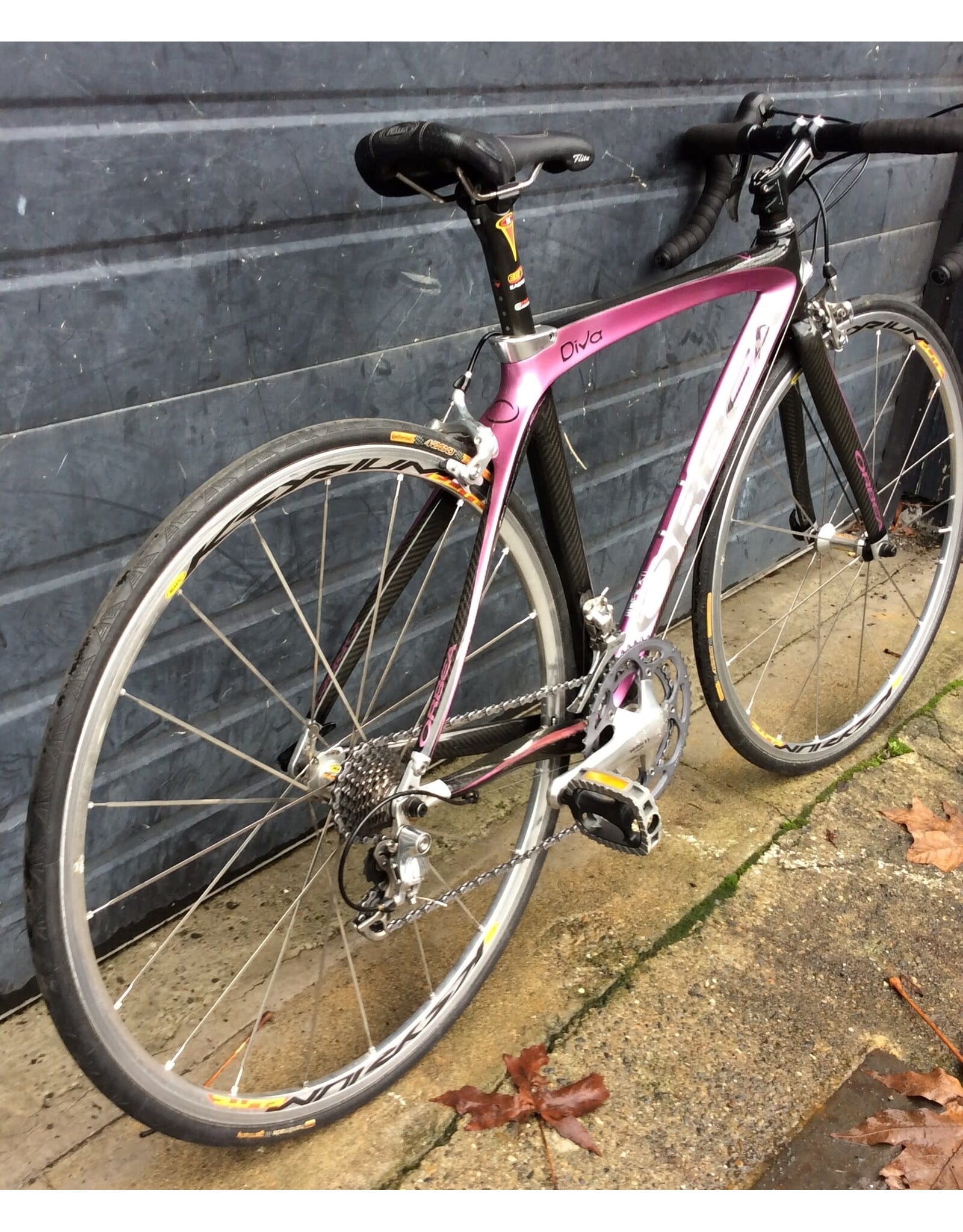 Orbea 48cm Orbea Diva