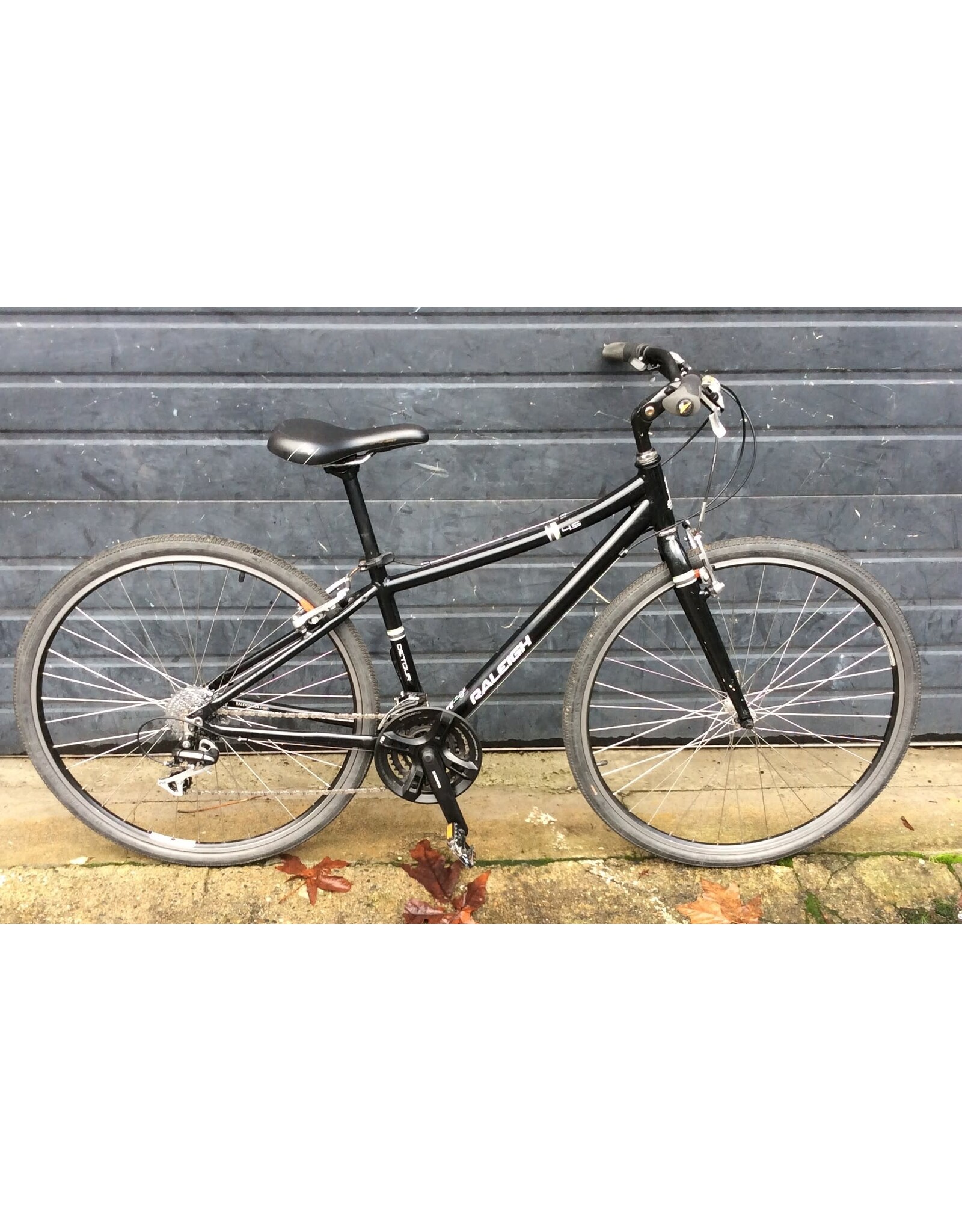 Raleigh 15" Raleigh Detour 4.5