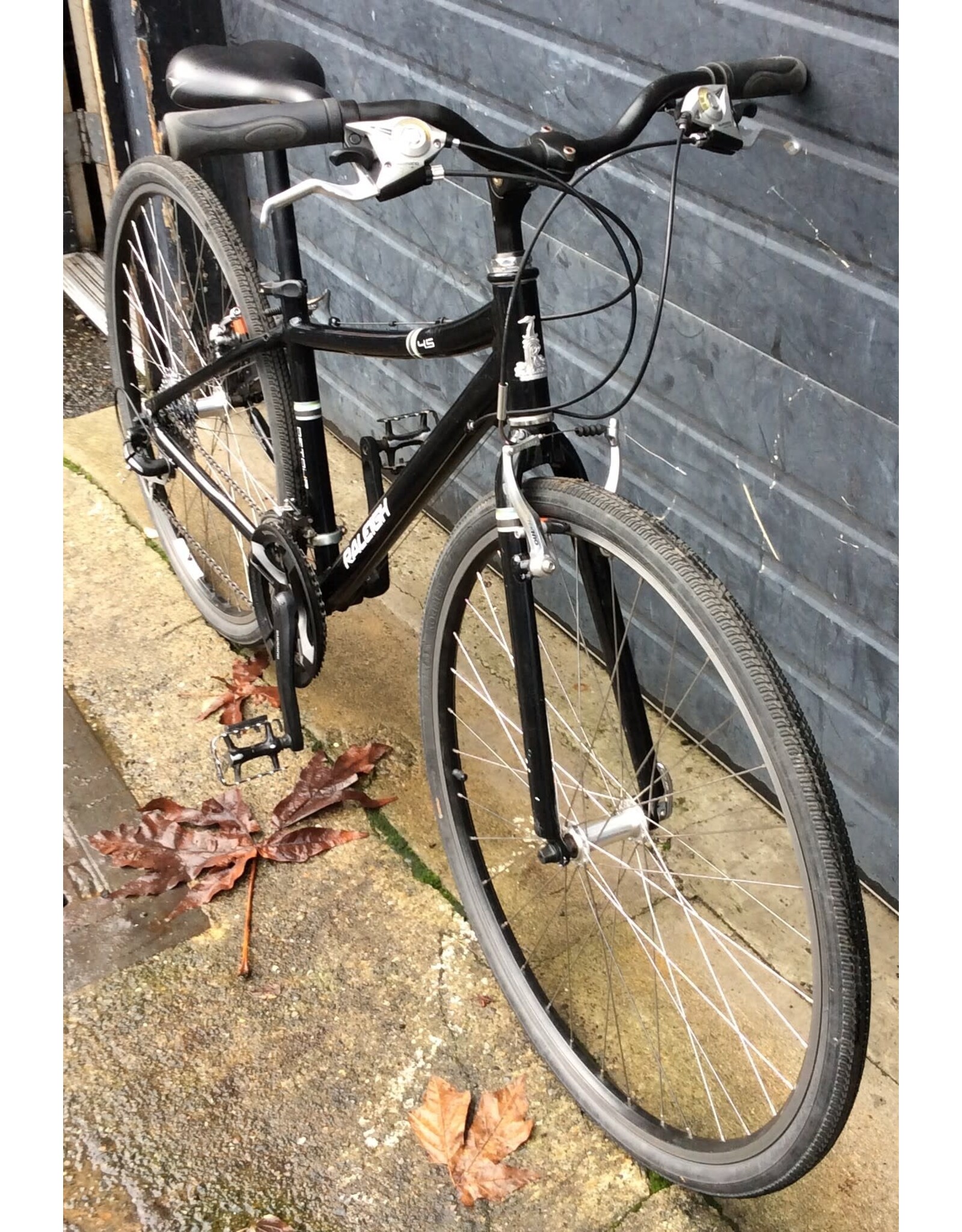 Raleigh 15" Raleigh Detour 4.5