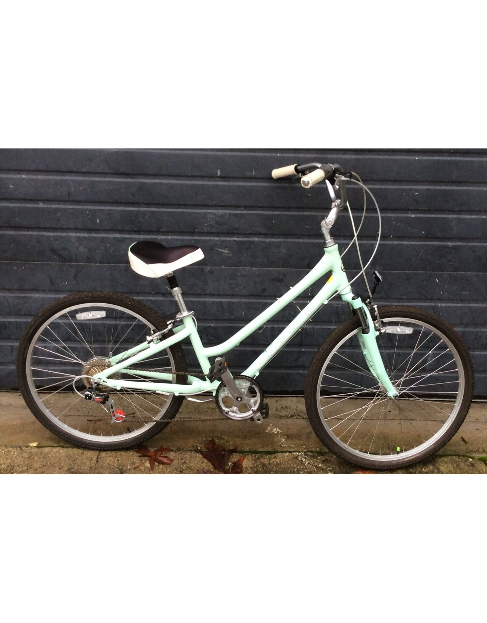 Giant 15" Giant Suede