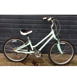 Giant 15" Giant Suede