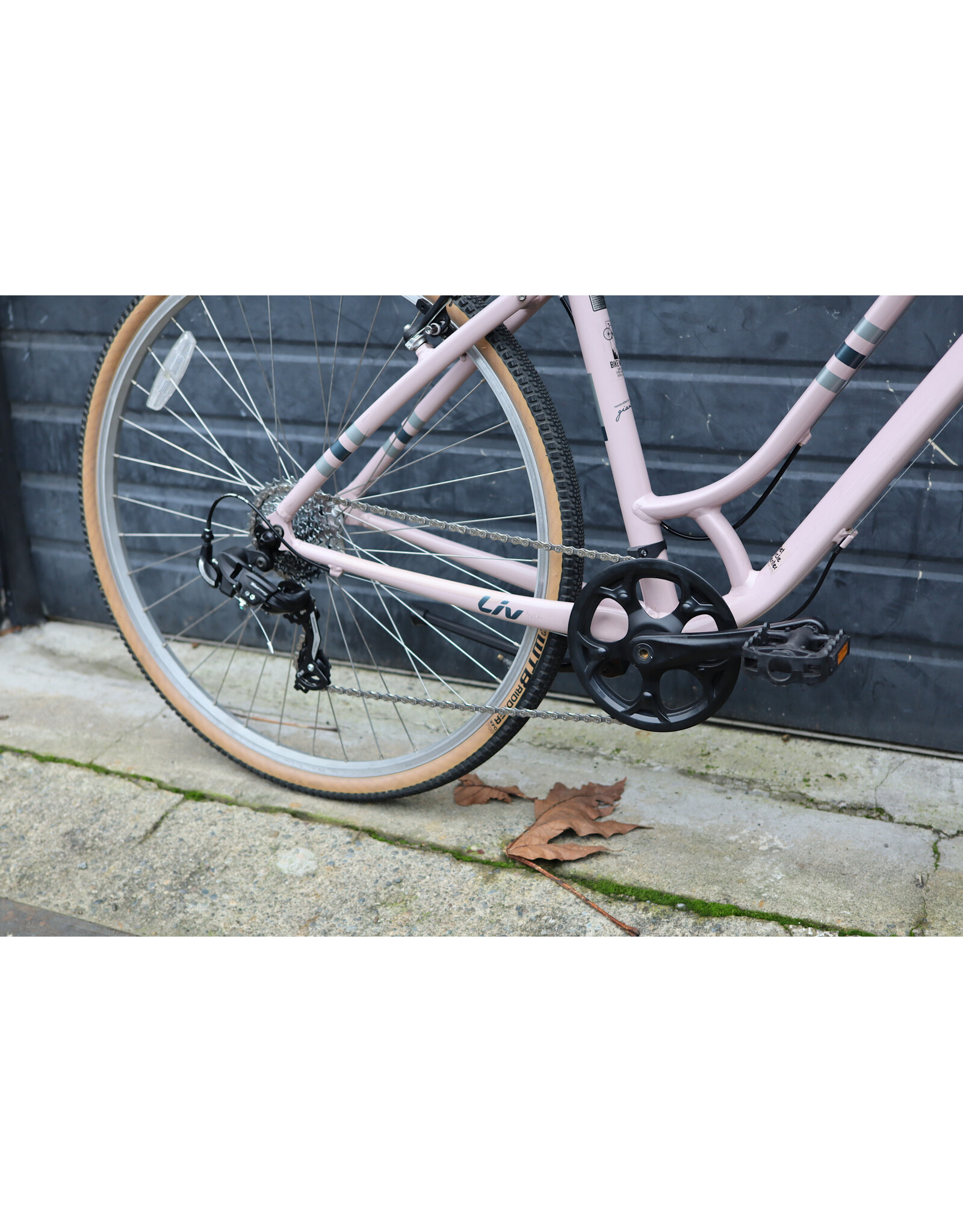 Liv 18" Liv Flourish