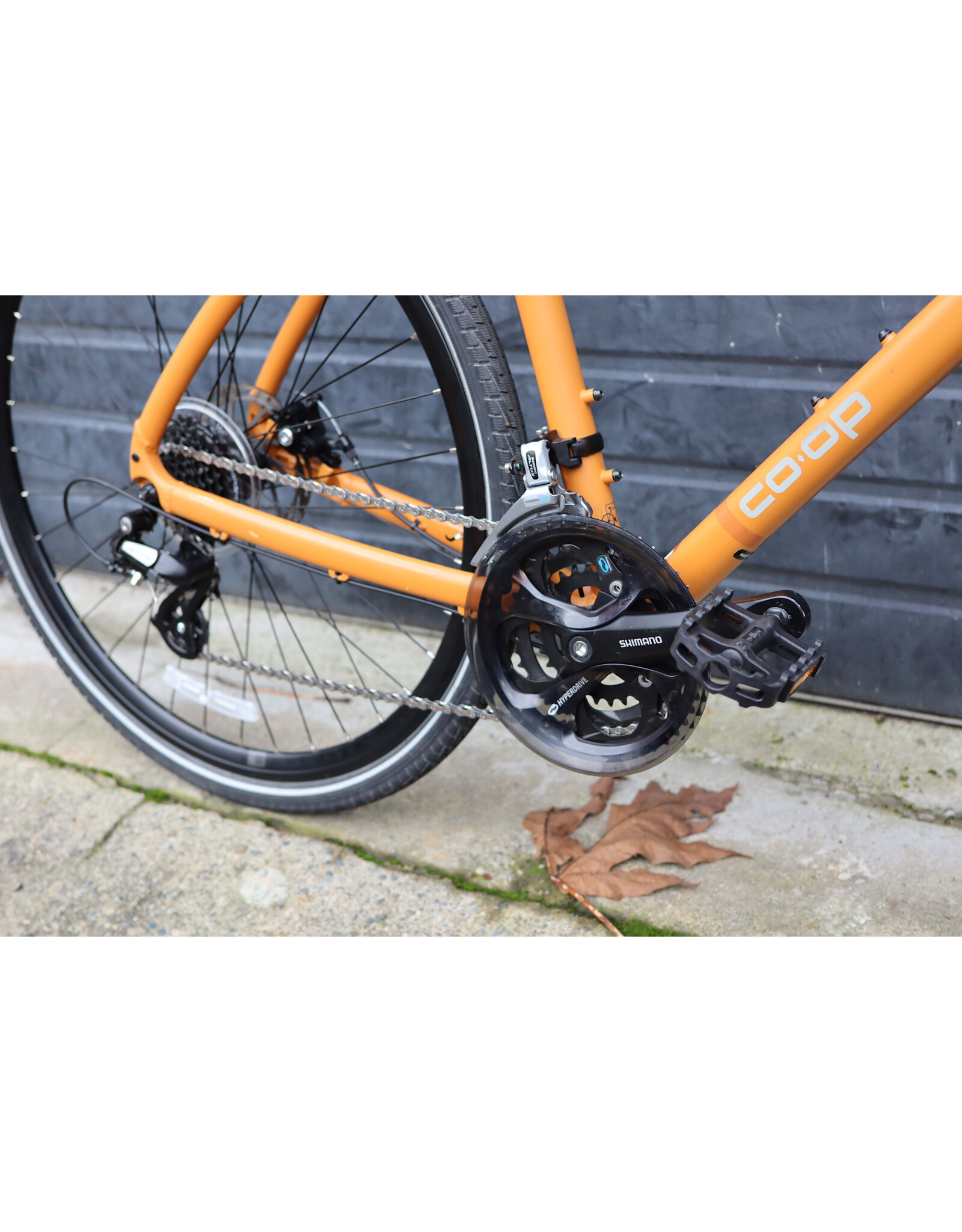 Co-op Large Co-op CTY 1.1