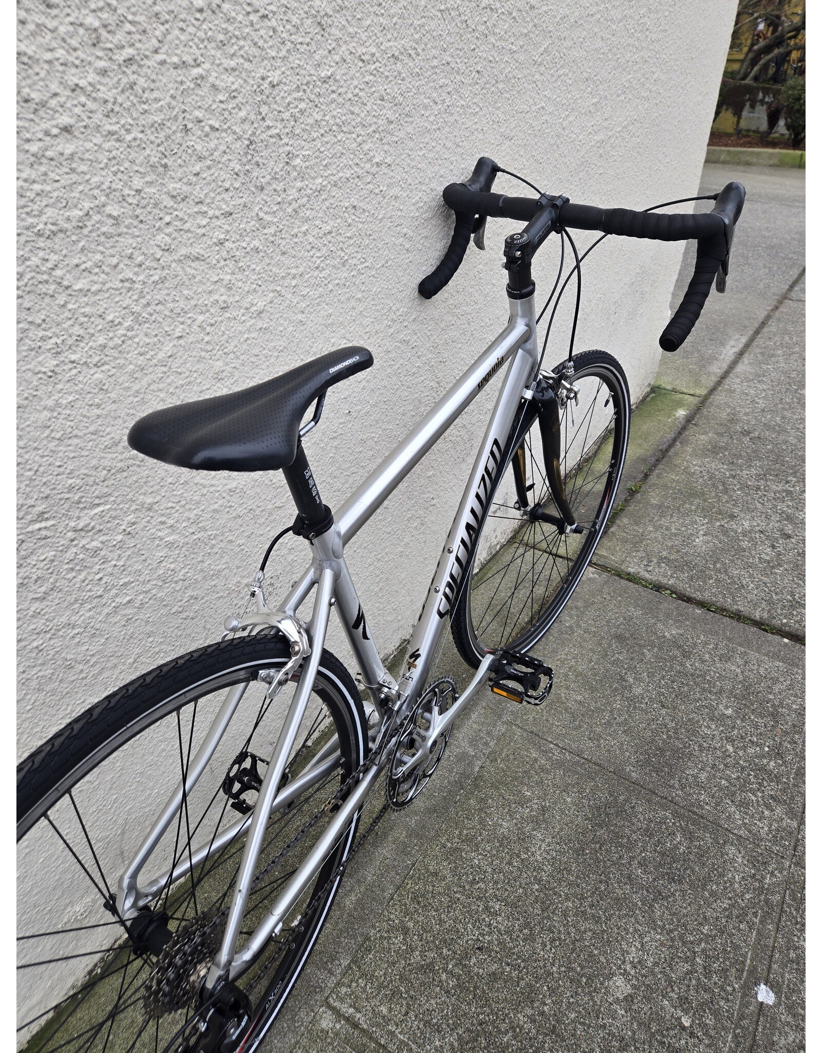 Specialized Medium Specialized Sequoia