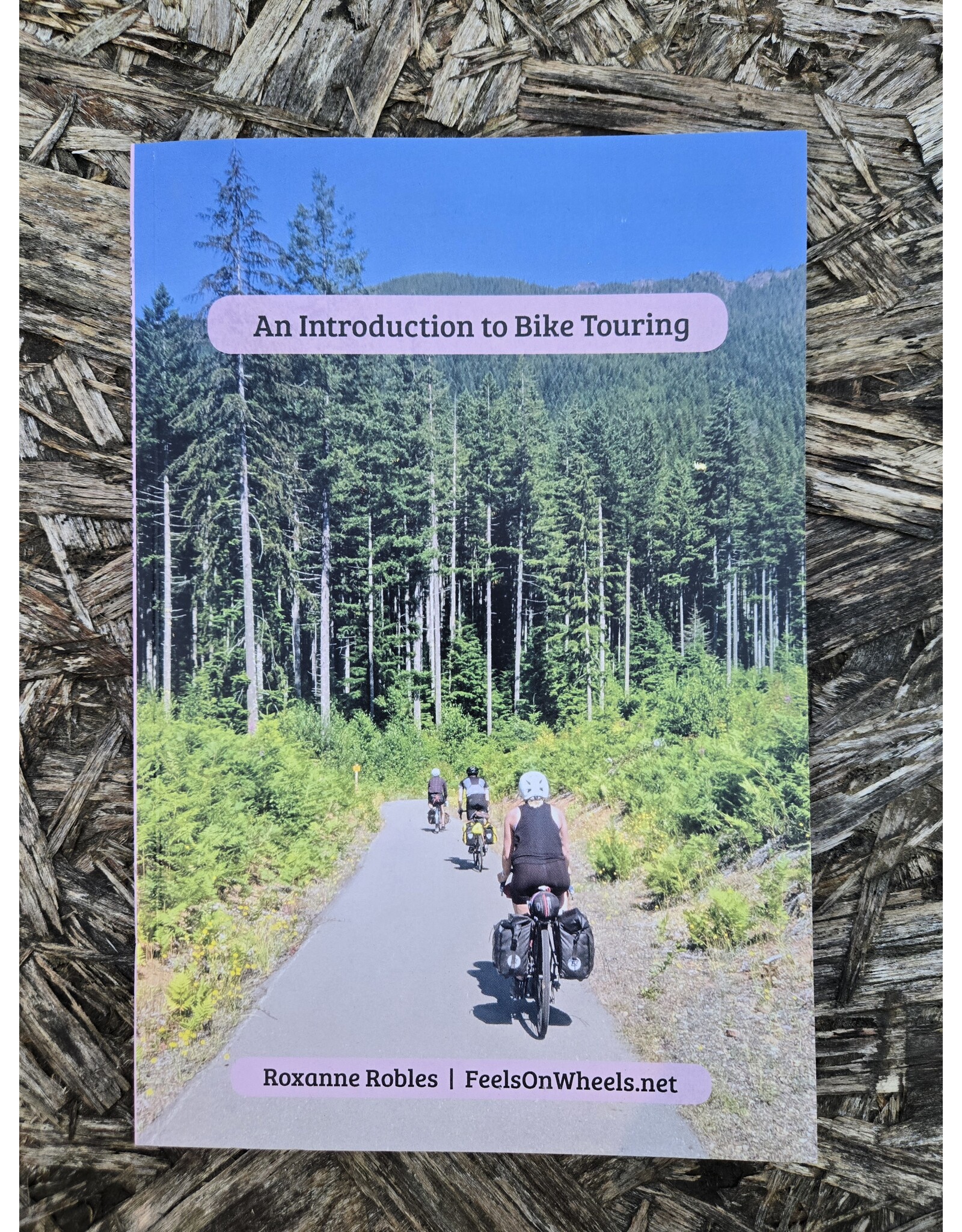 Roxy Robles Introduction to Bicycle Touring