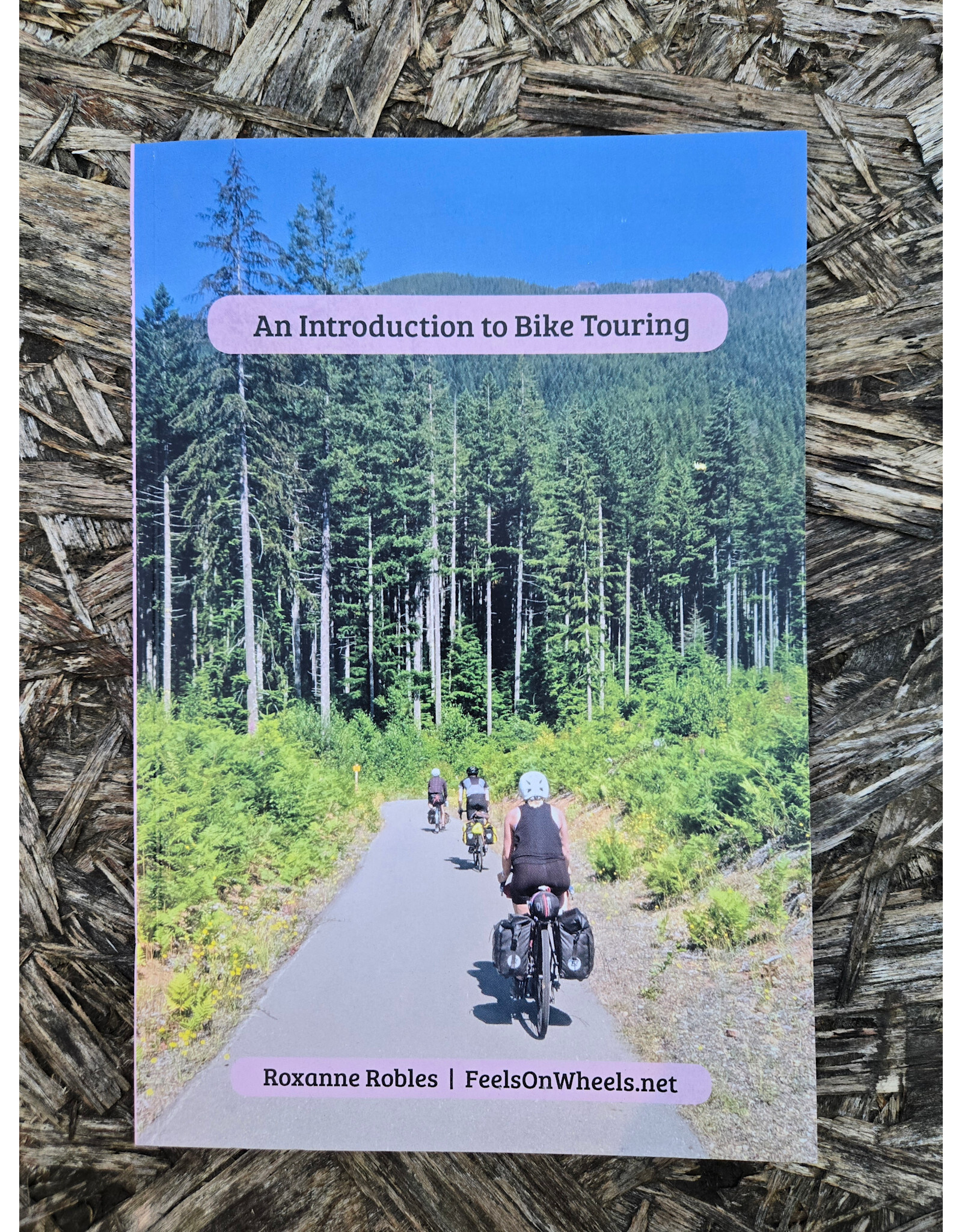 Roxy Robles Introduction to Bicycle Touring