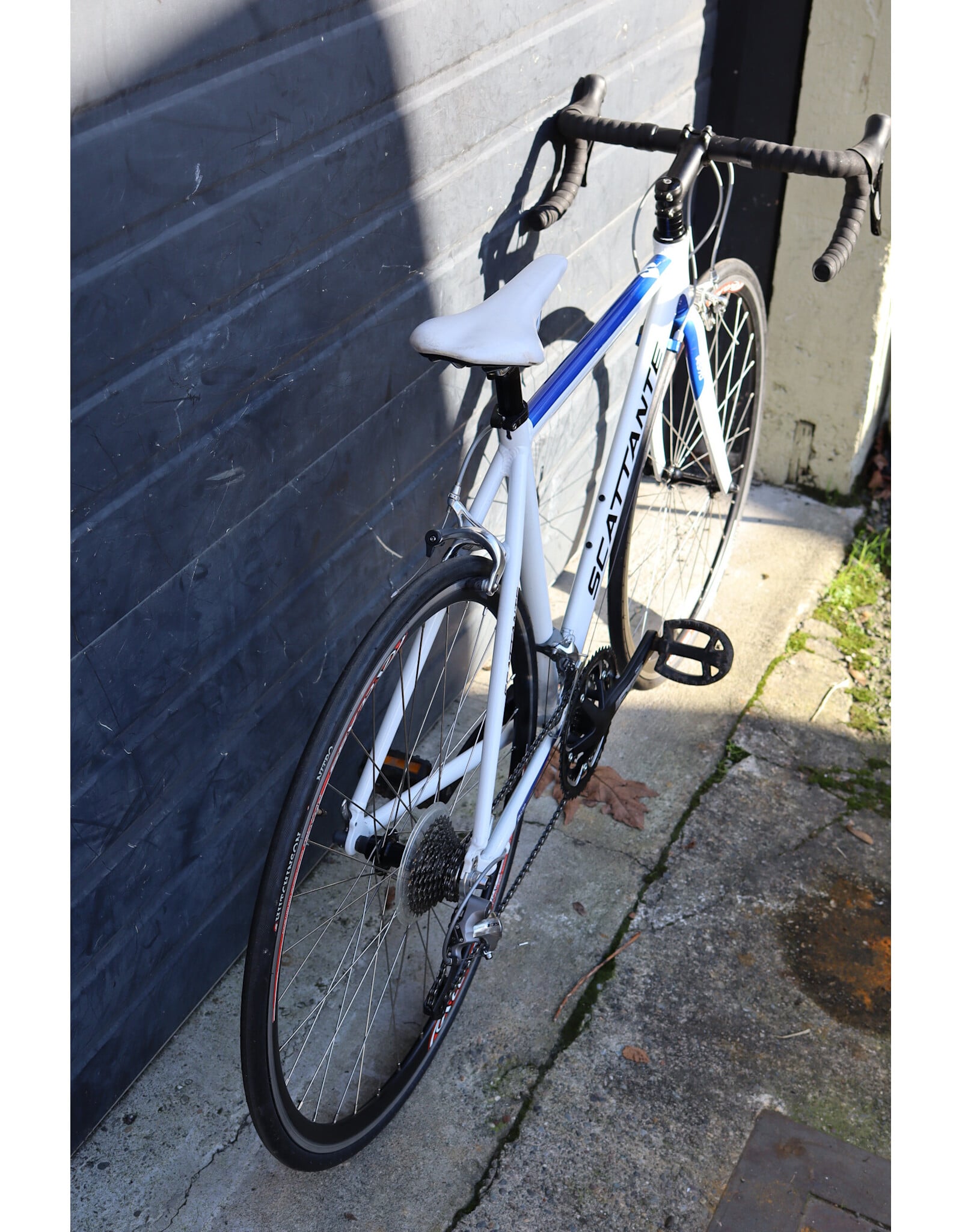 Scattante 51cm Scattante R570
