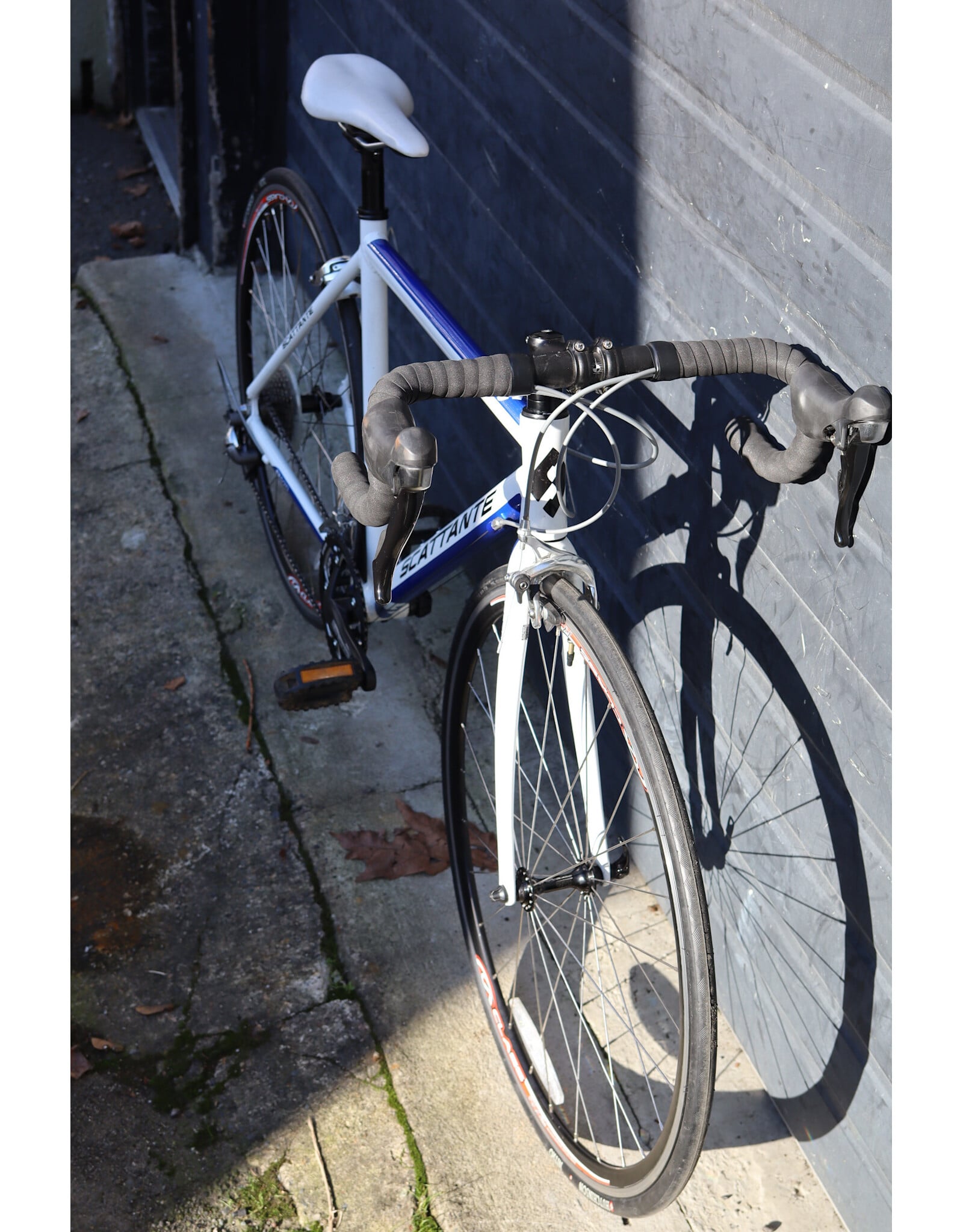 Scattante 51cm Scattante R570