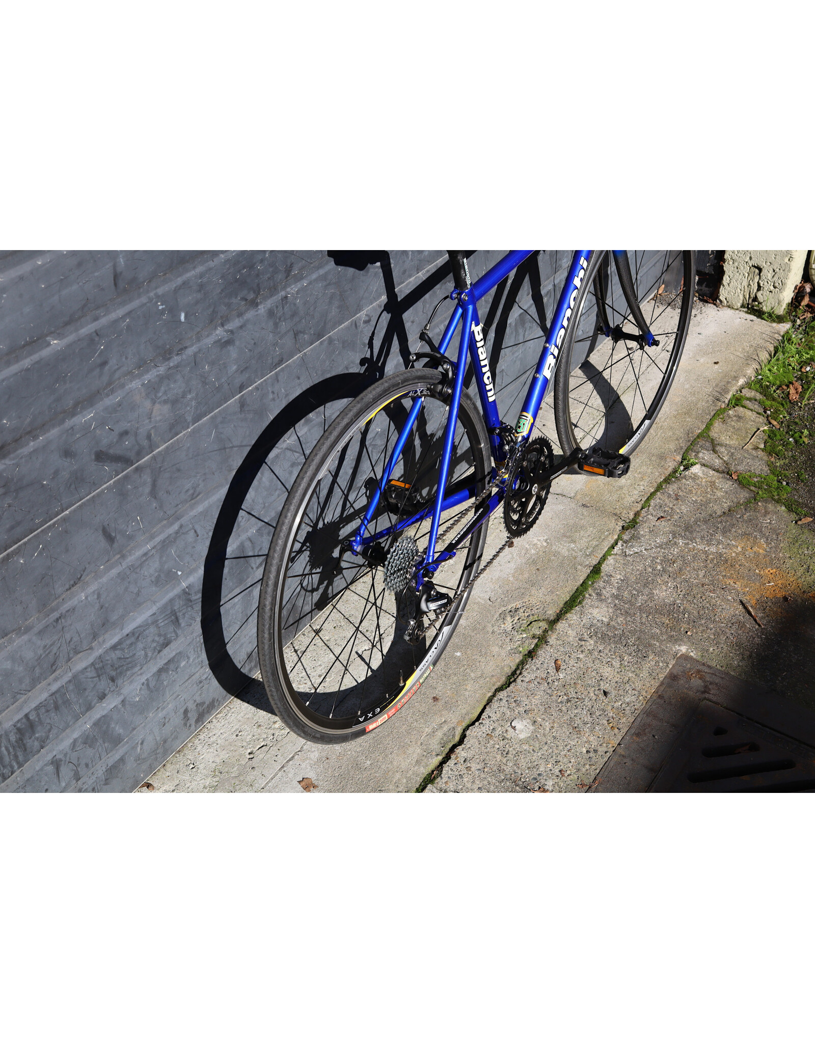 Bianchi 51cm Bianchi Eros