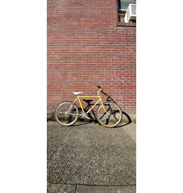 21' Nashbar Terra SL Single Speed