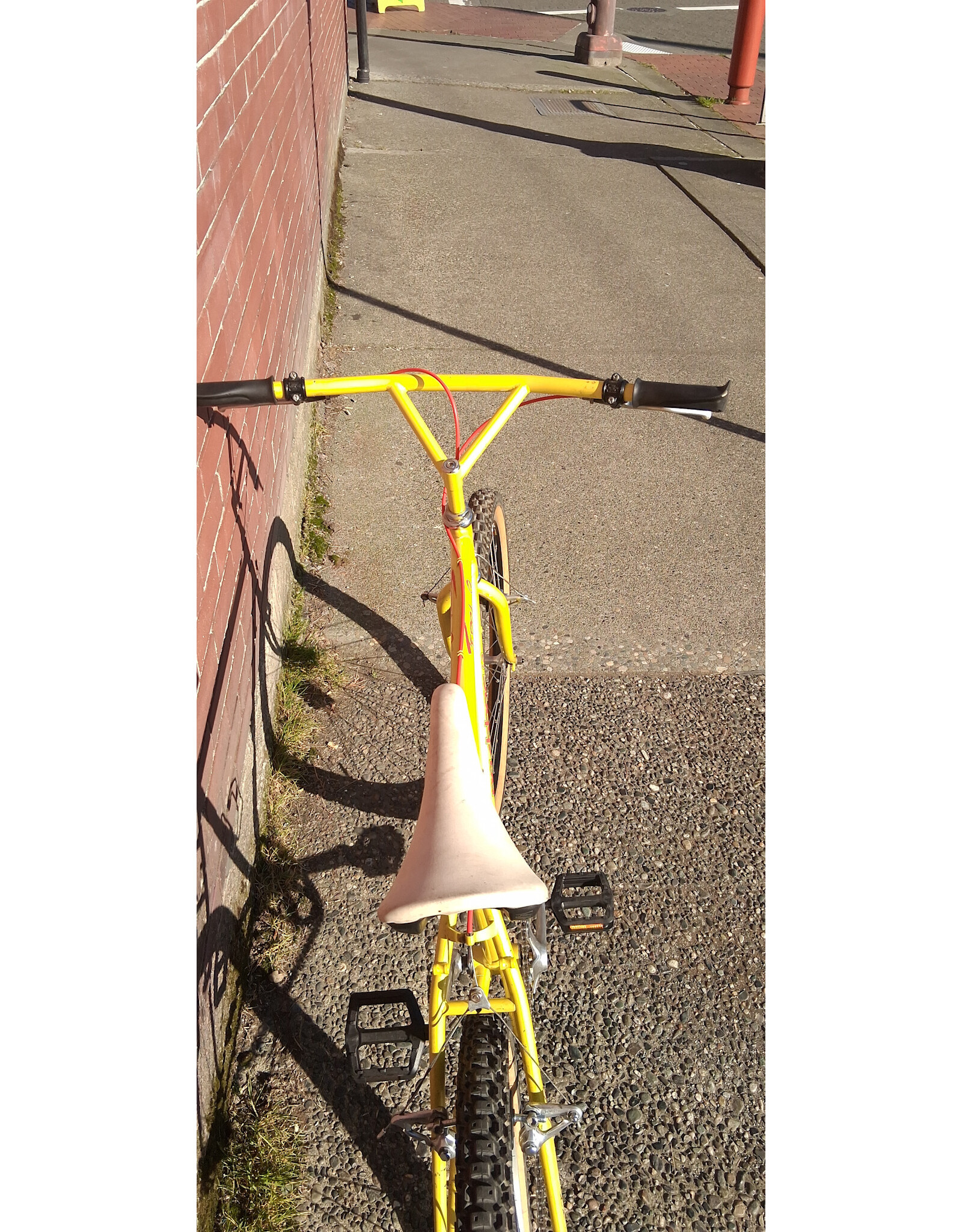 21' Nashbar Terra SL Single Speed