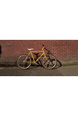 21' Nashbar Terra SL Single Speed