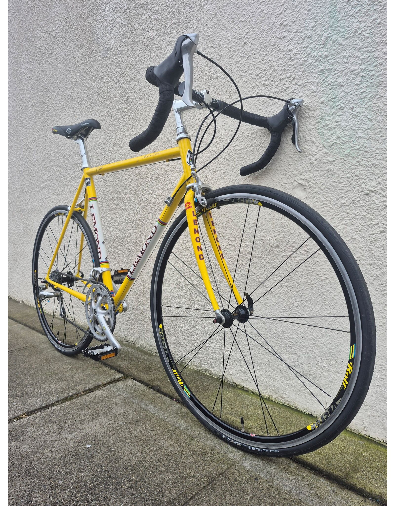 Lemond 55cm Lemond Beunos Aires