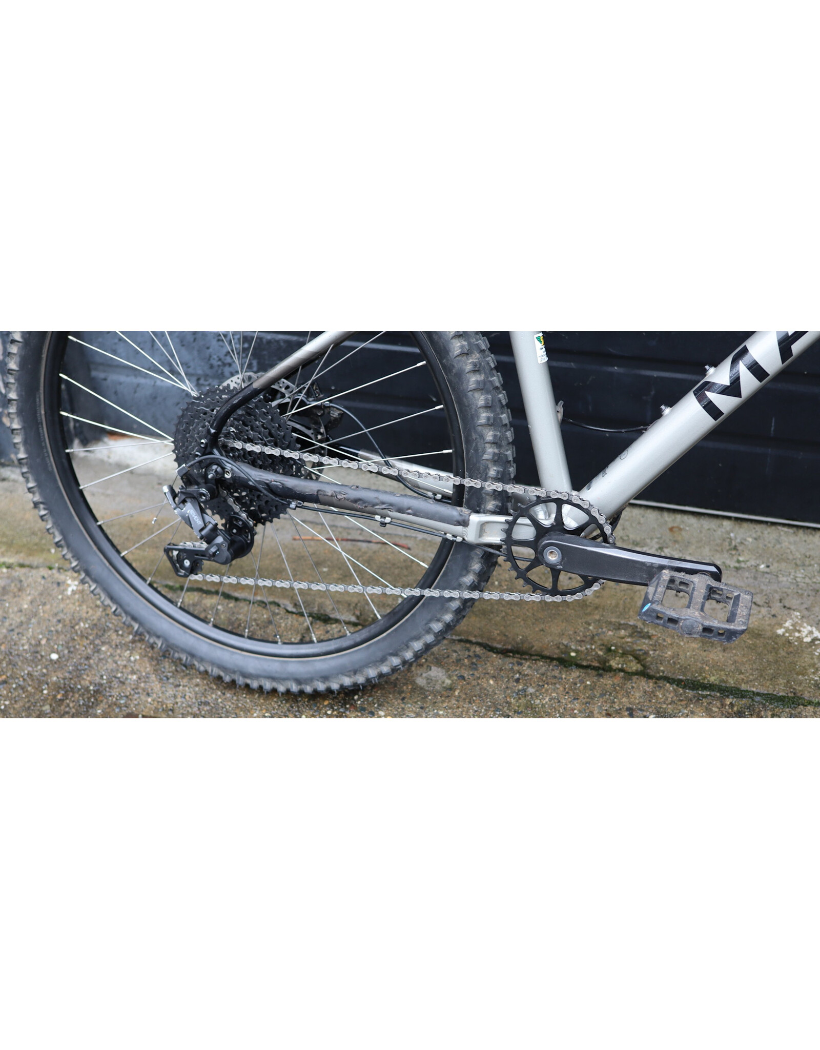 Marin Large Marin San Quentin 1