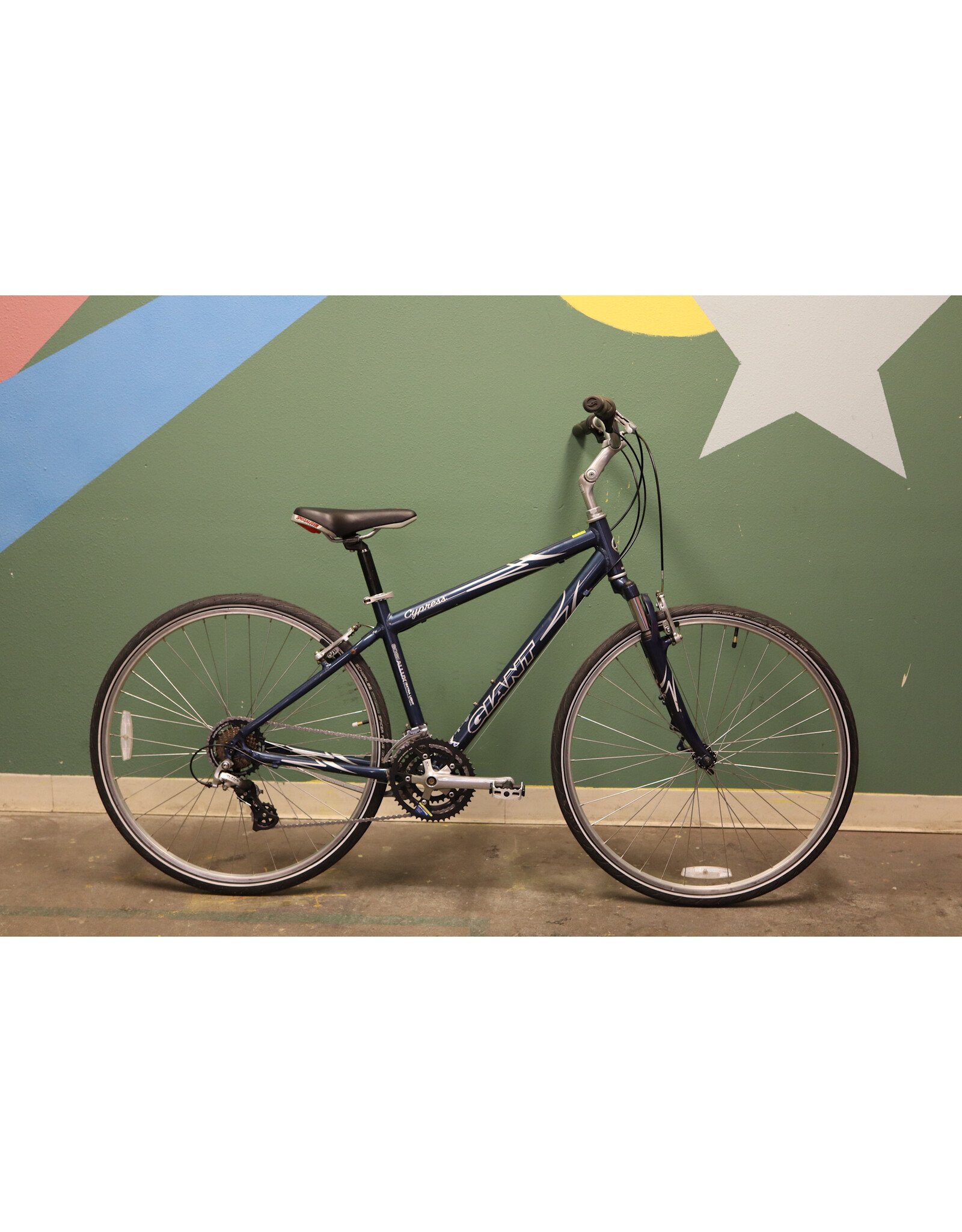 Giant 17" Giant Cypress