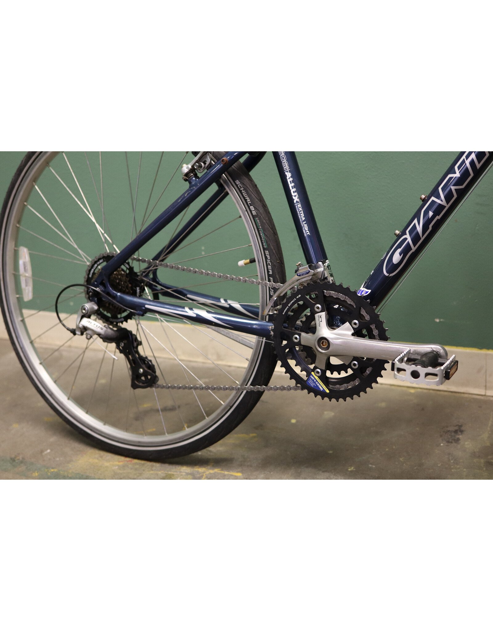 Giant 17" Giant Cypress