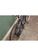 Giant 17" Giant Cypress