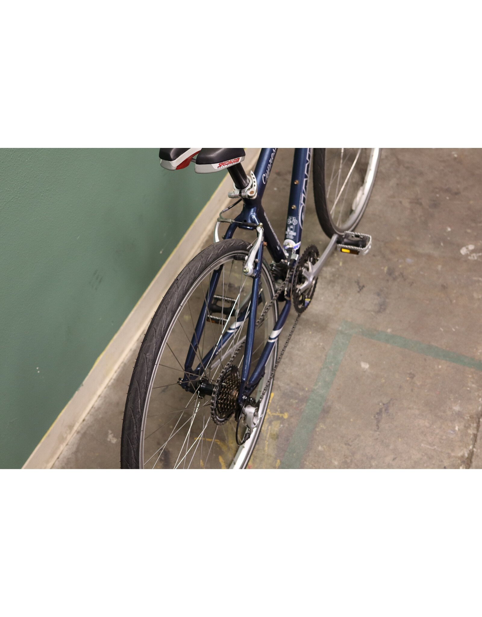 Giant 17" Giant Cypress