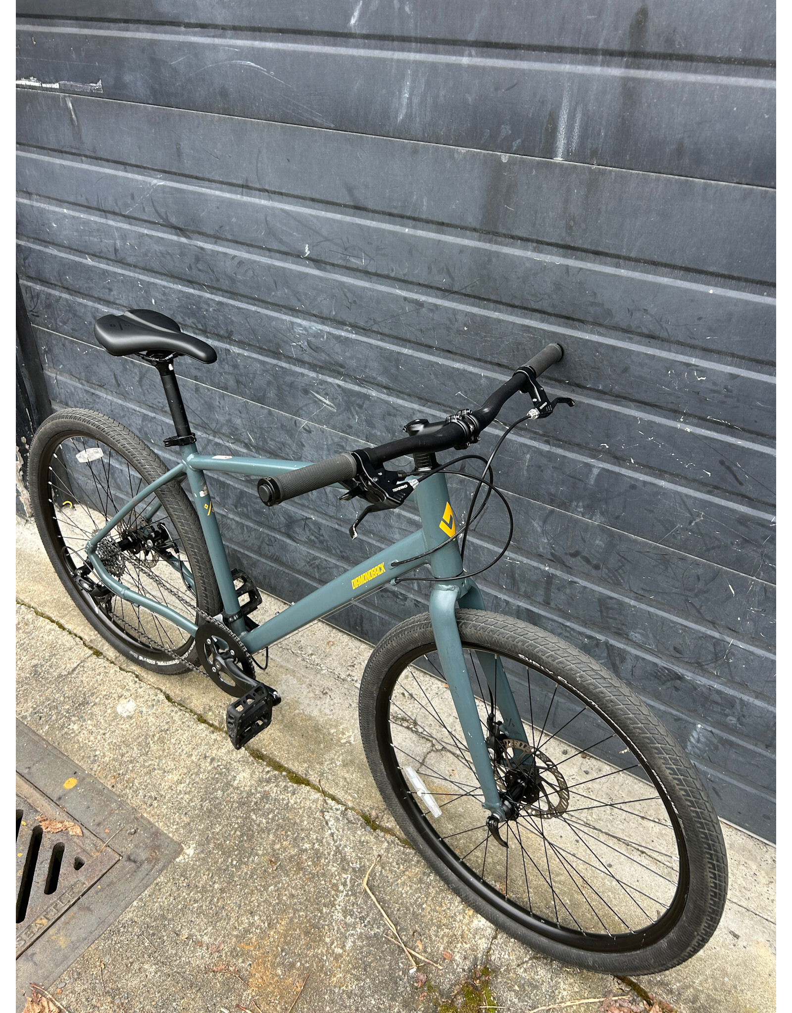 Diamondback 19" Diamondback Division