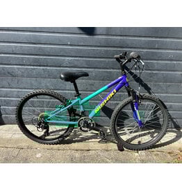 Nishiki 24" Nishiki Peublo