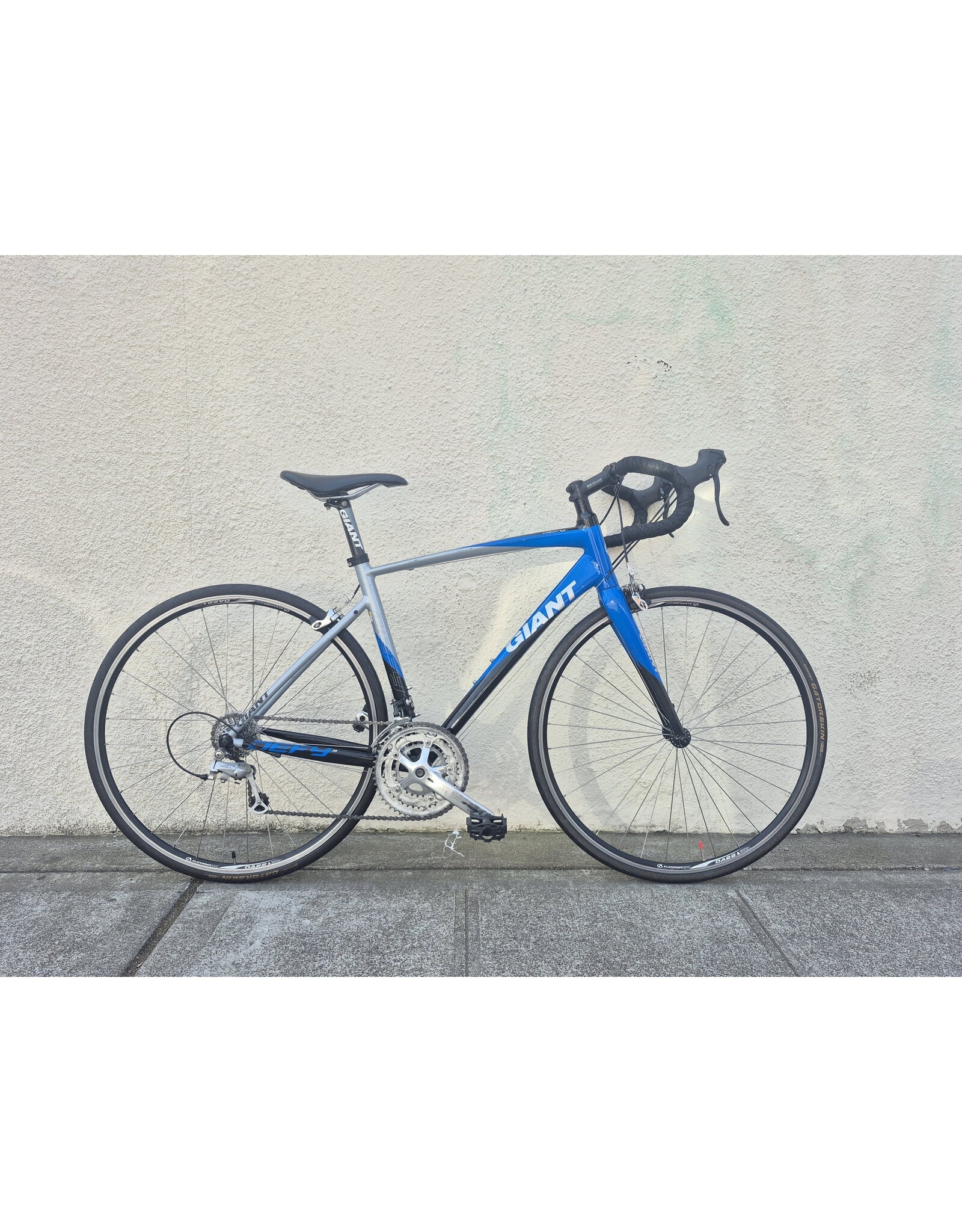 Giant Medium Giant Defy